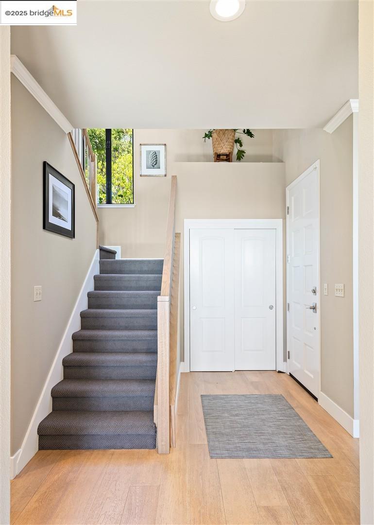 Photo #33: 41105811 Listing: Photo #33