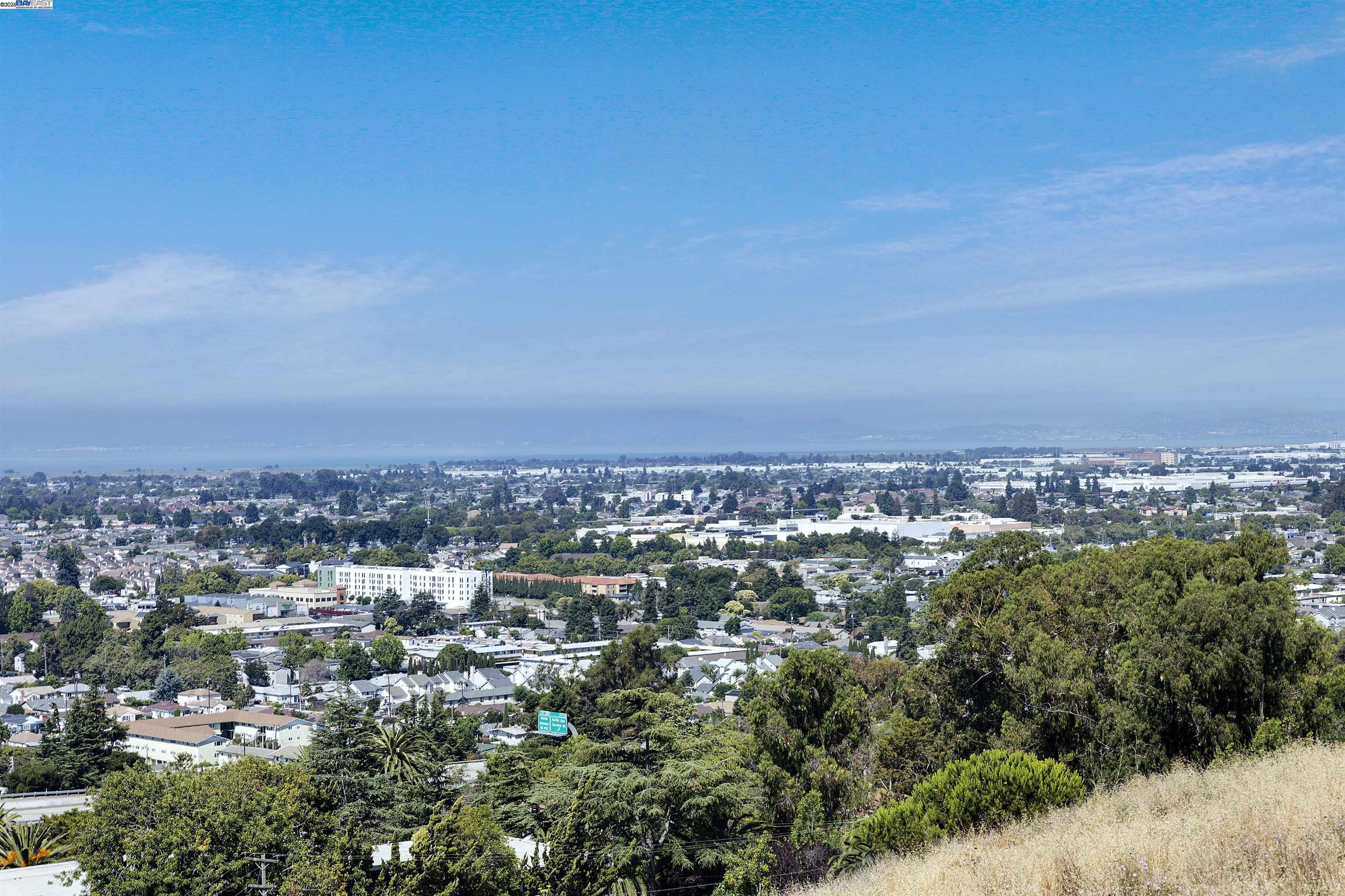 16504 Page St, San Leandro, California 94578, 3 Bedrooms Bedrooms, 7 Rooms Rooms,2 BathroomsBathrooms,Residential,For Sale,16504 Page St,41105830