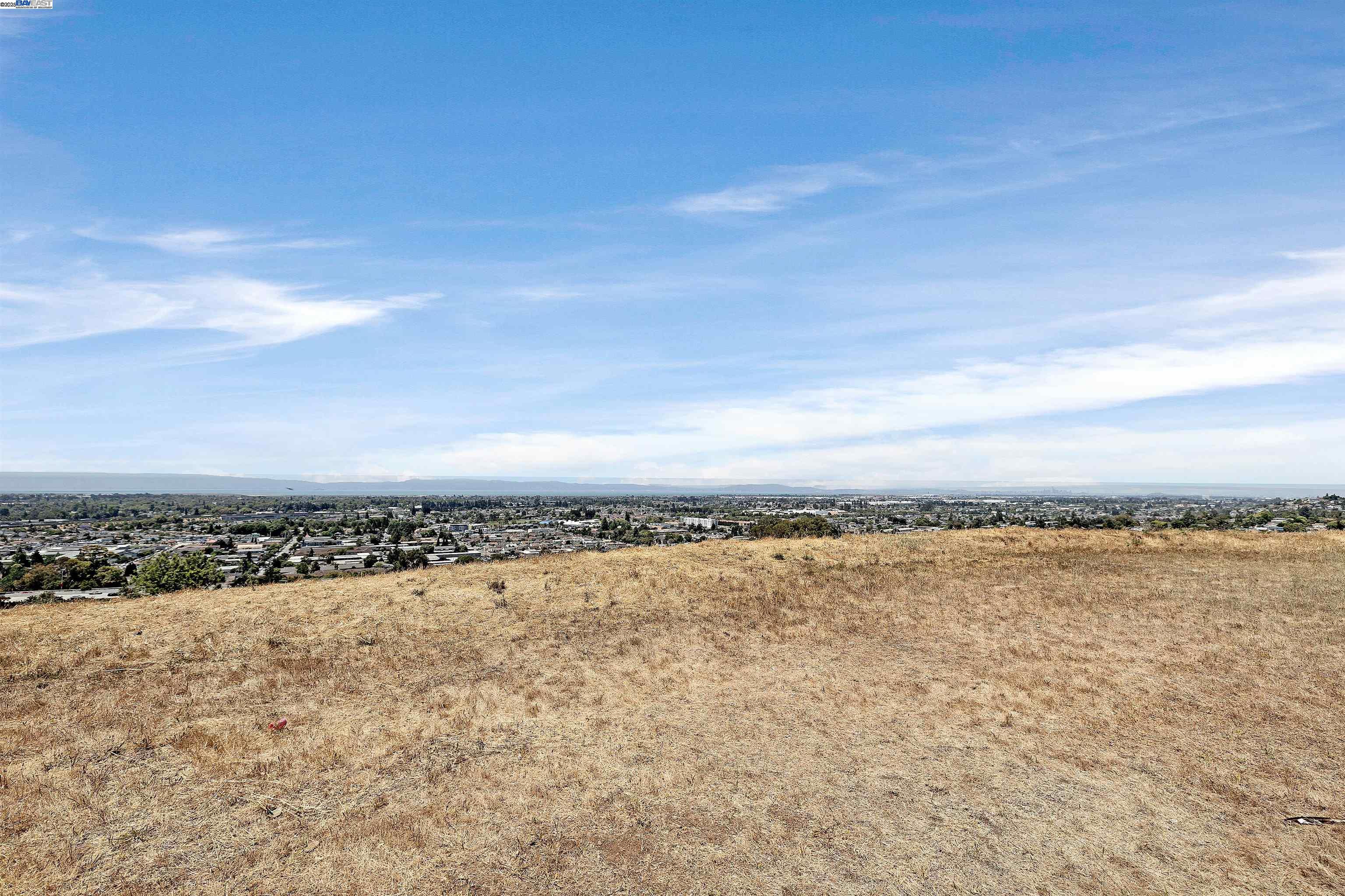 16504 Page St, San Leandro, California 94578, 3 Bedrooms Bedrooms, 7 Rooms Rooms,2 BathroomsBathrooms,Residential,For Sale,16504 Page St,41105830