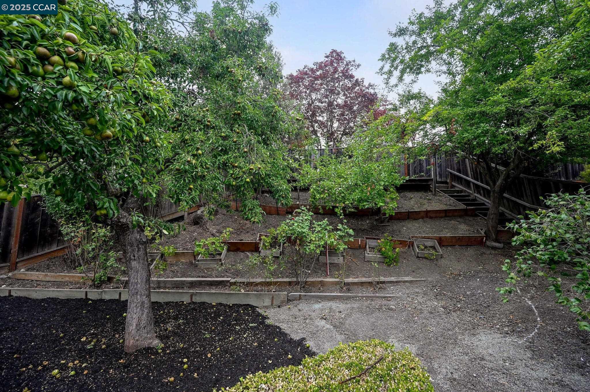 155 Saint Vincent Ct, Danville, California 94526, 4 Bedrooms Bedrooms, 10 Rooms Rooms,2 BathroomsBathrooms,Residential,For Sale,155 Saint Vincent Ct,41105835