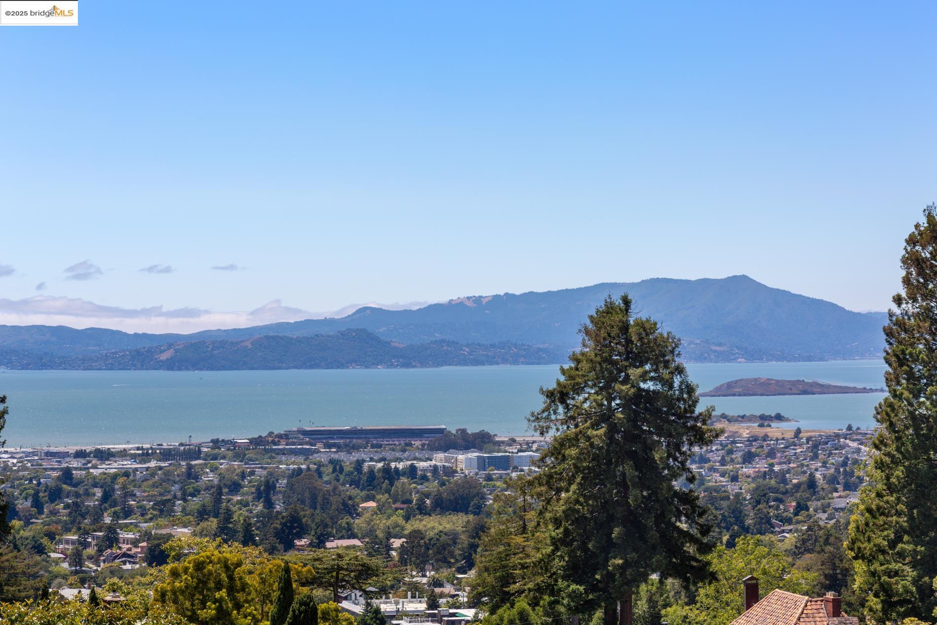 2583 Buena Vista Way, Berkeley, California 94708, 3 Bedrooms Bedrooms, 8 Rooms Rooms,2 BathroomsBathrooms,Residential,For Sale,2583 Buena Vista Way,41105839