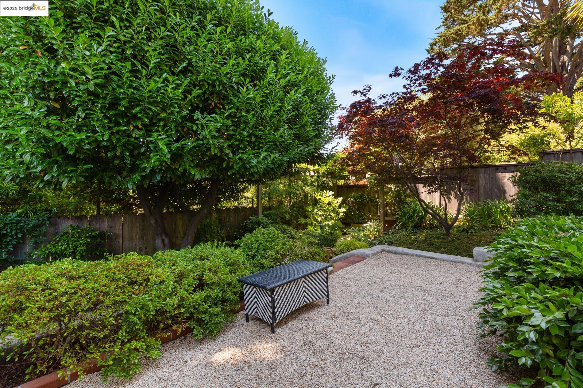 2583 Buena Vista Way, Berkeley, California 94708, 3 Bedrooms Bedrooms, 8 Rooms Rooms,2 BathroomsBathrooms,Residential,For Sale,2583 Buena Vista Way,41105839