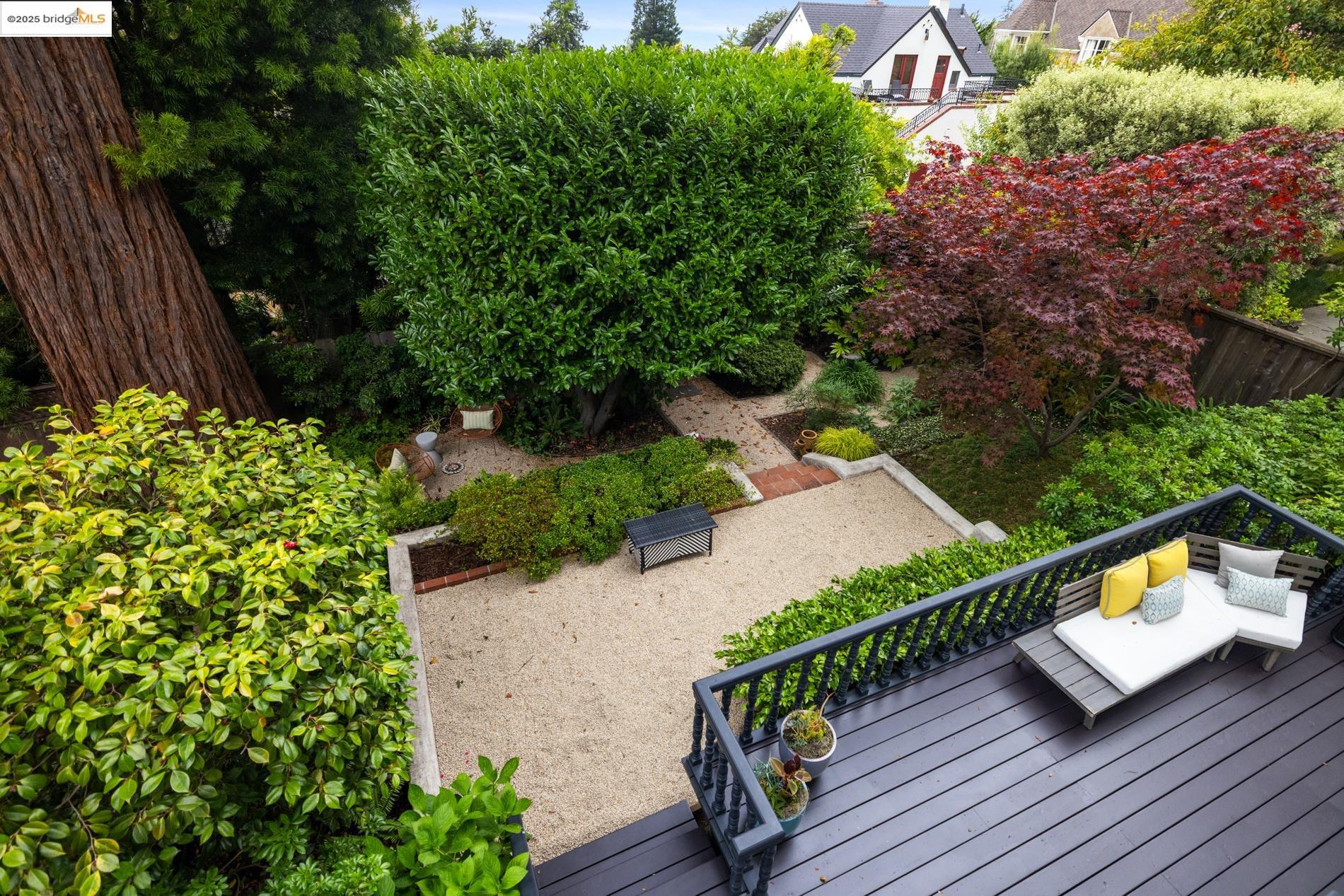 2583 Buena Vista Way, Berkeley, California 94708, 3 Bedrooms Bedrooms, 8 Rooms Rooms,2 BathroomsBathrooms,Residential,For Sale,2583 Buena Vista Way,41105839
