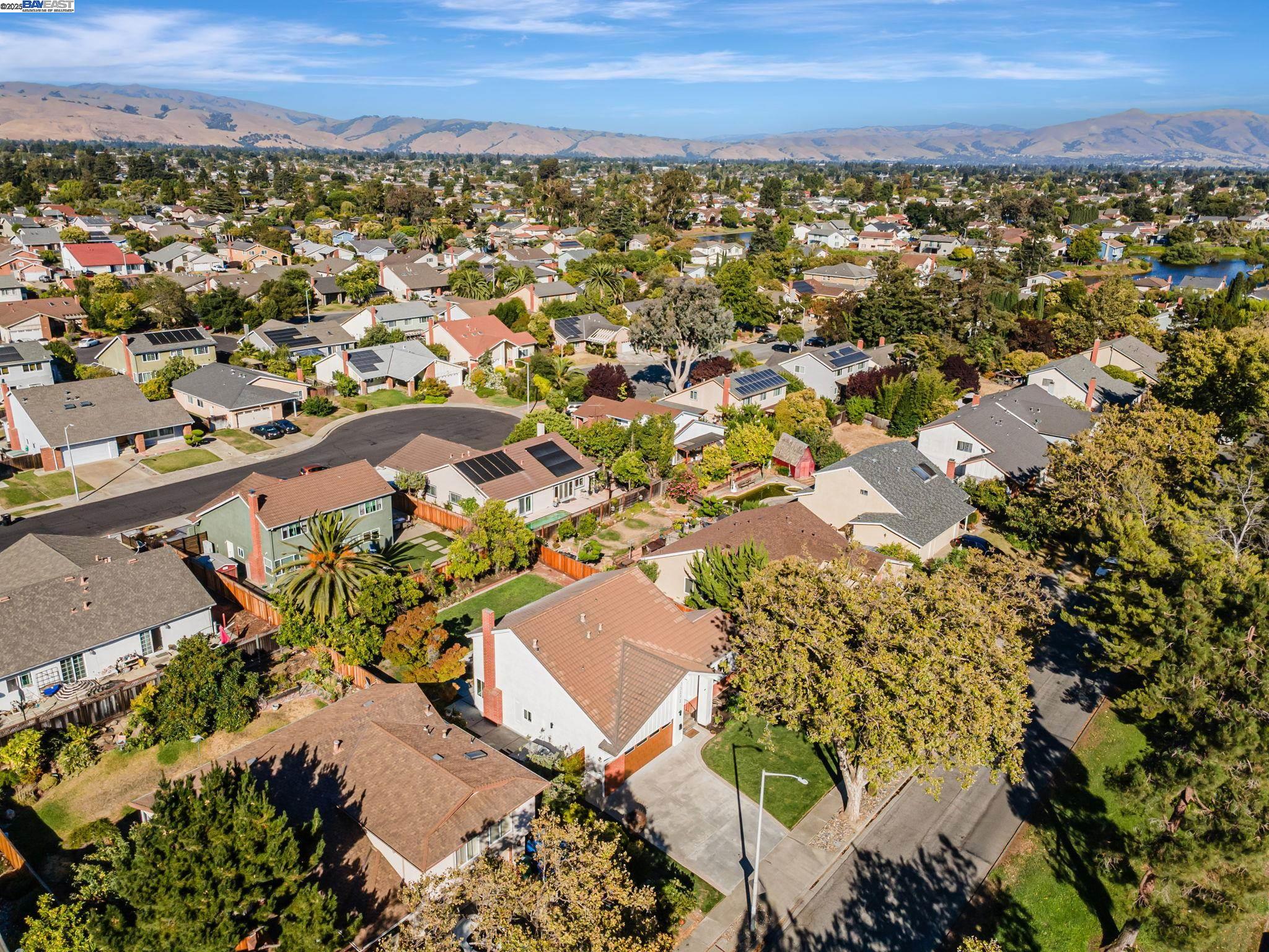 Detail Gallery Image 45 of 51 For 35272 Lake Blvd, Newark,  CA 94560 - 4 Beds | 2/1 Baths