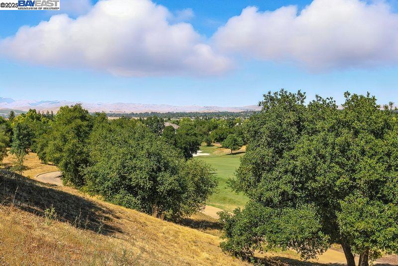 3029 Alburni Ct, Pleasanton, California 94566, 4 Bedrooms Bedrooms, 11 Rooms Rooms,3 BathroomsBathrooms,Residential,For Sale,3029 Alburni Ct,41105890