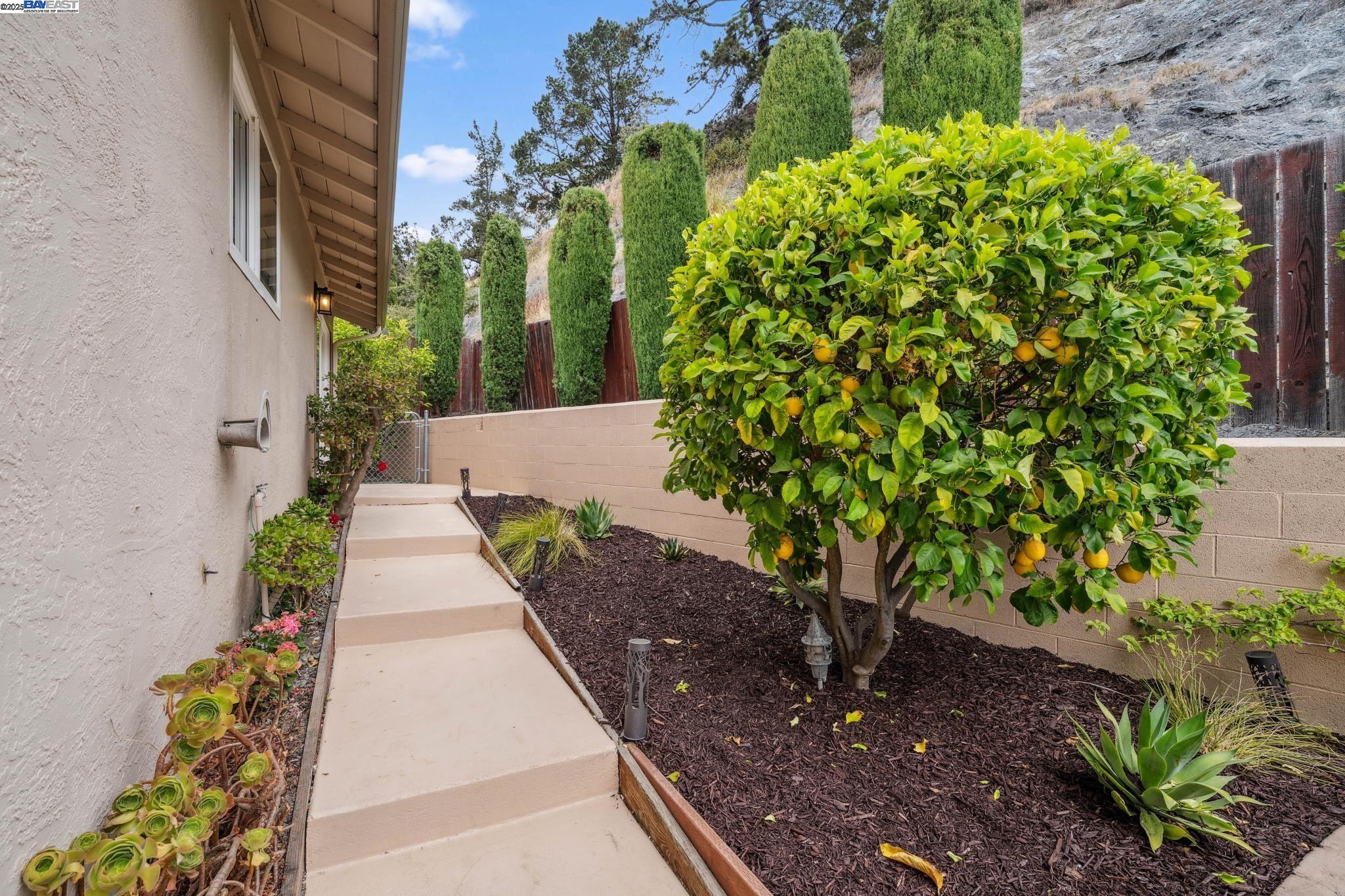 Detail Gallery Image 49 of 58 For 598 Crestmont Drive, Oakland,  CA 94619 - 4 Beds | 2/1 Baths