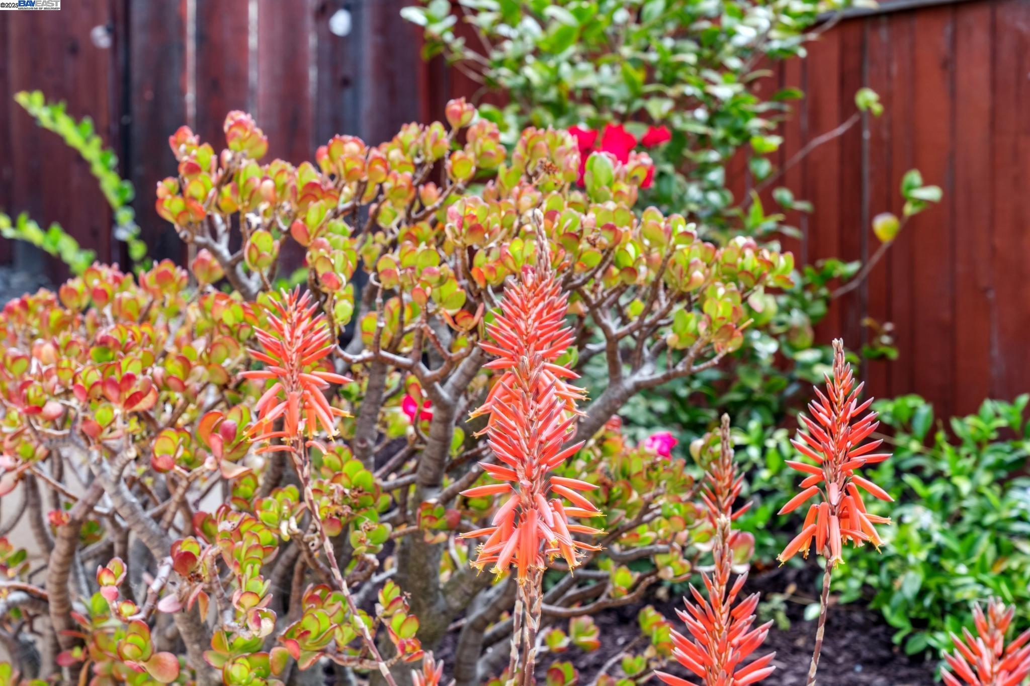 Detail Gallery Image 52 of 58 For 598 Crestmont Drive, Oakland,  CA 94619 - 4 Beds | 2/1 Baths