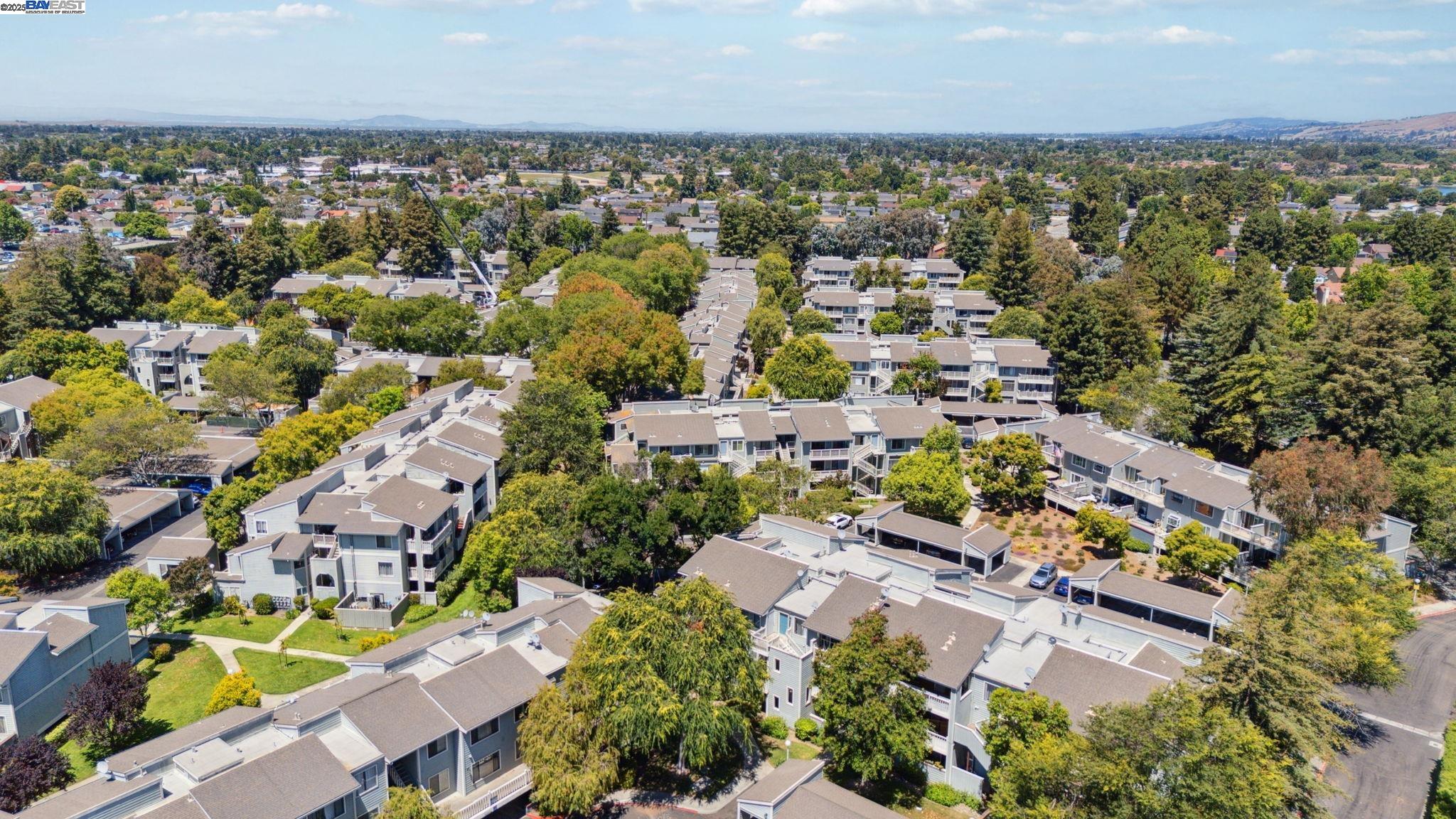 Photo #2: 41106003 Listing 