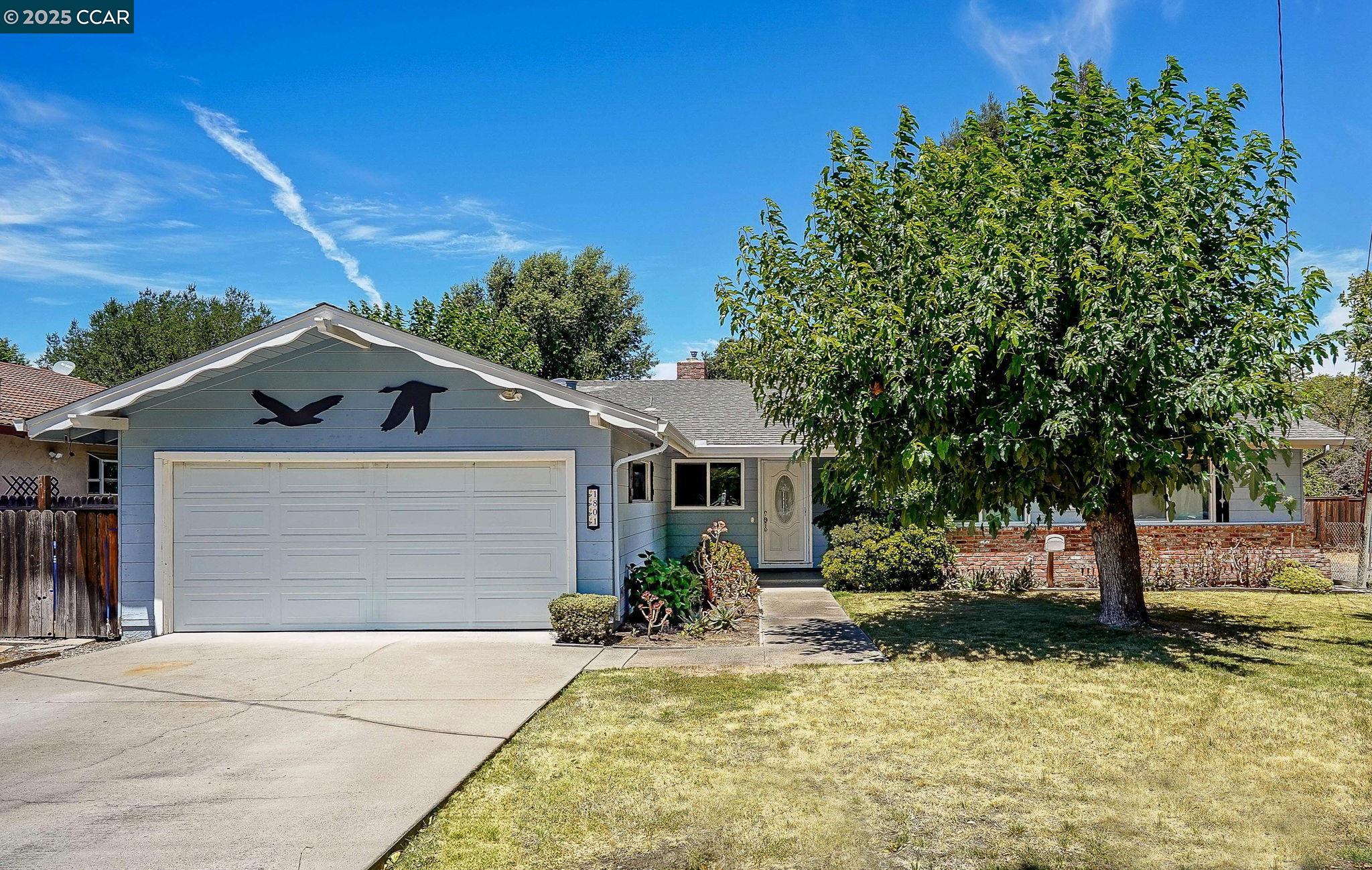 Detail Gallery Image 1 of 1 For 1801 Whitman Rd, Concord,  CA 94518 - 4 Beds | 2 Baths