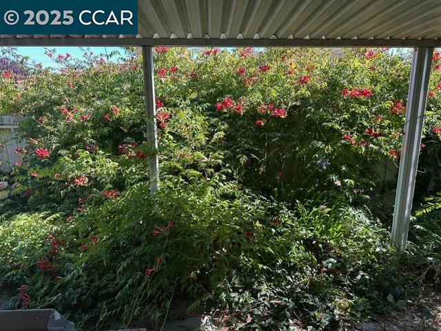 Detail Gallery Image 19 of 20 For 35593 Cleremont Dr, Newark,  CA 94560 - 3 Beds | 2 Baths
