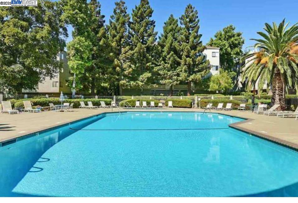 Detail Gallery Image 8 of 8 For 1256 Stanhope Lane #249,  Hayward,  CA 94545 - 1 Beds | 1 Baths