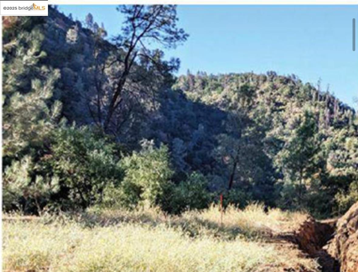 Detail Gallery Image 20 of 35 For , Tuolumne,  CA 95379 - – Beds | – Baths