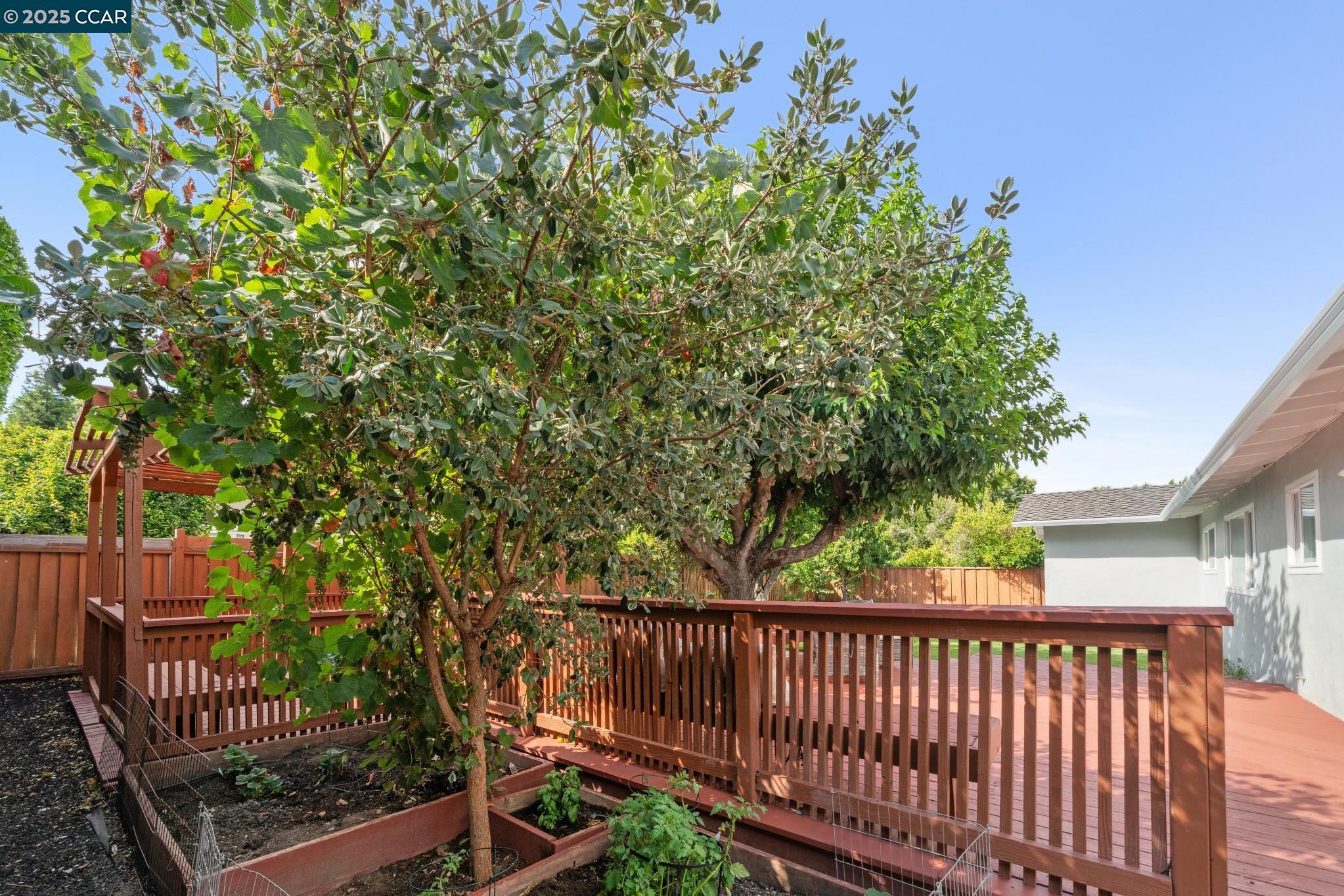 1786 Klier Drive, Concord, California 94518, 4 Bedrooms Bedrooms, 9 Rooms Rooms,2 BathroomsBathrooms,Residential,For Sale,1786 Klier Drive,41106180