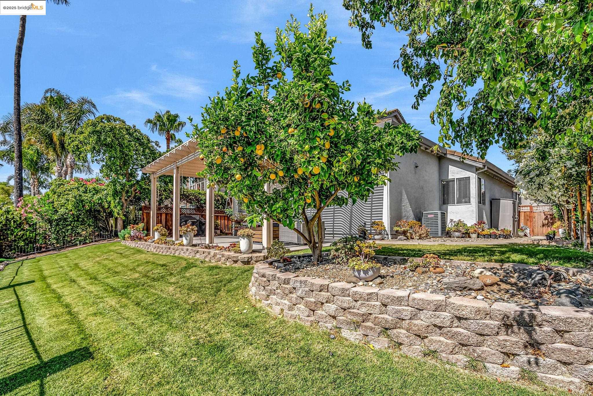 2435 PINEHURST COURT, Discovery Bay, California 94505, 4 Bedrooms Bedrooms, 10 Rooms Rooms,2 BathroomsBathrooms,Residential Lease,For Rent,2435 PINEHURST COURT,41106181
