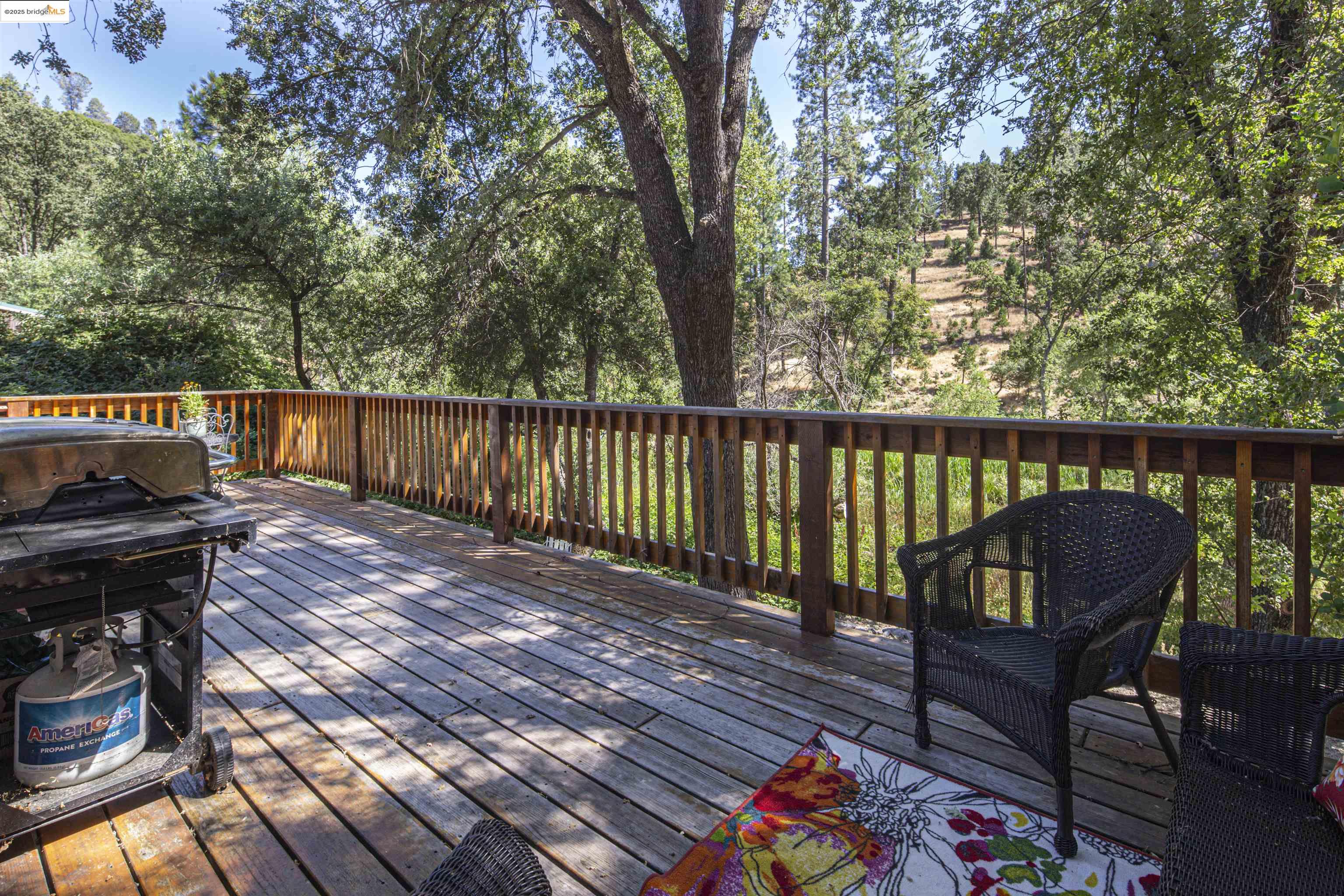 19955 Deerbrush Ct, Groveland, California 95321, 3 Bedrooms Bedrooms, 3 Rooms Rooms,2 BathroomsBathrooms,Residential,For Sale,19955 Deerbrush Ct,41106186