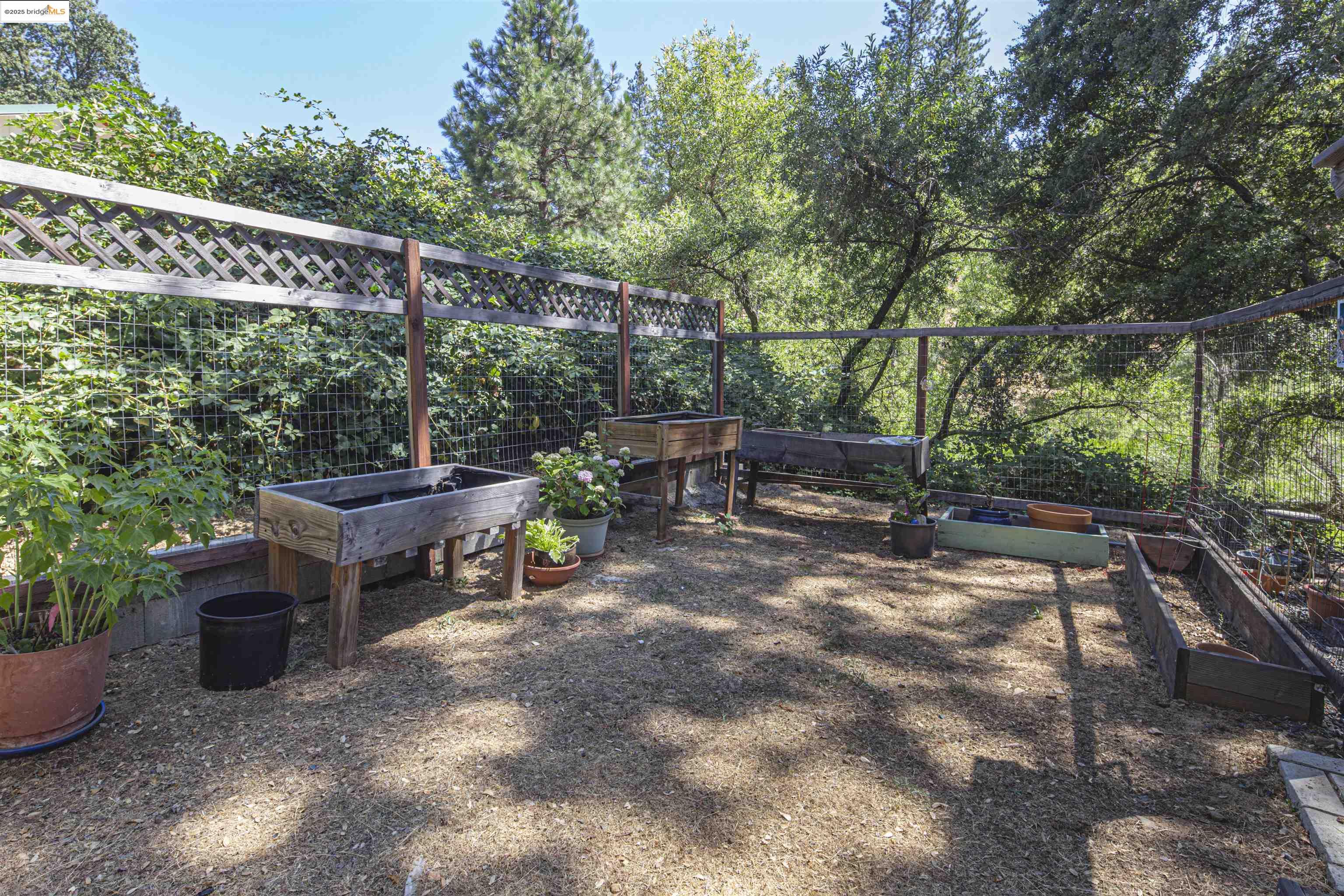19955 Deerbrush Ct, Groveland, California 95321, 3 Bedrooms Bedrooms, 3 Rooms Rooms,2 BathroomsBathrooms,Residential,For Sale,19955 Deerbrush Ct,41106186
