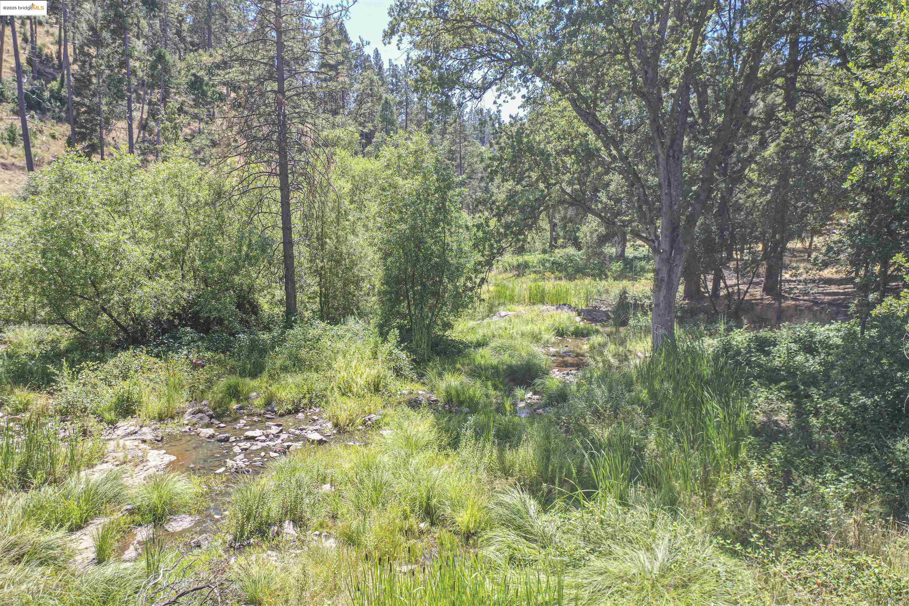 19955 Deerbrush Ct, Groveland, California 95321, 3 Bedrooms Bedrooms, 3 Rooms Rooms,2 BathroomsBathrooms,Residential,For Sale,19955 Deerbrush Ct,41106186