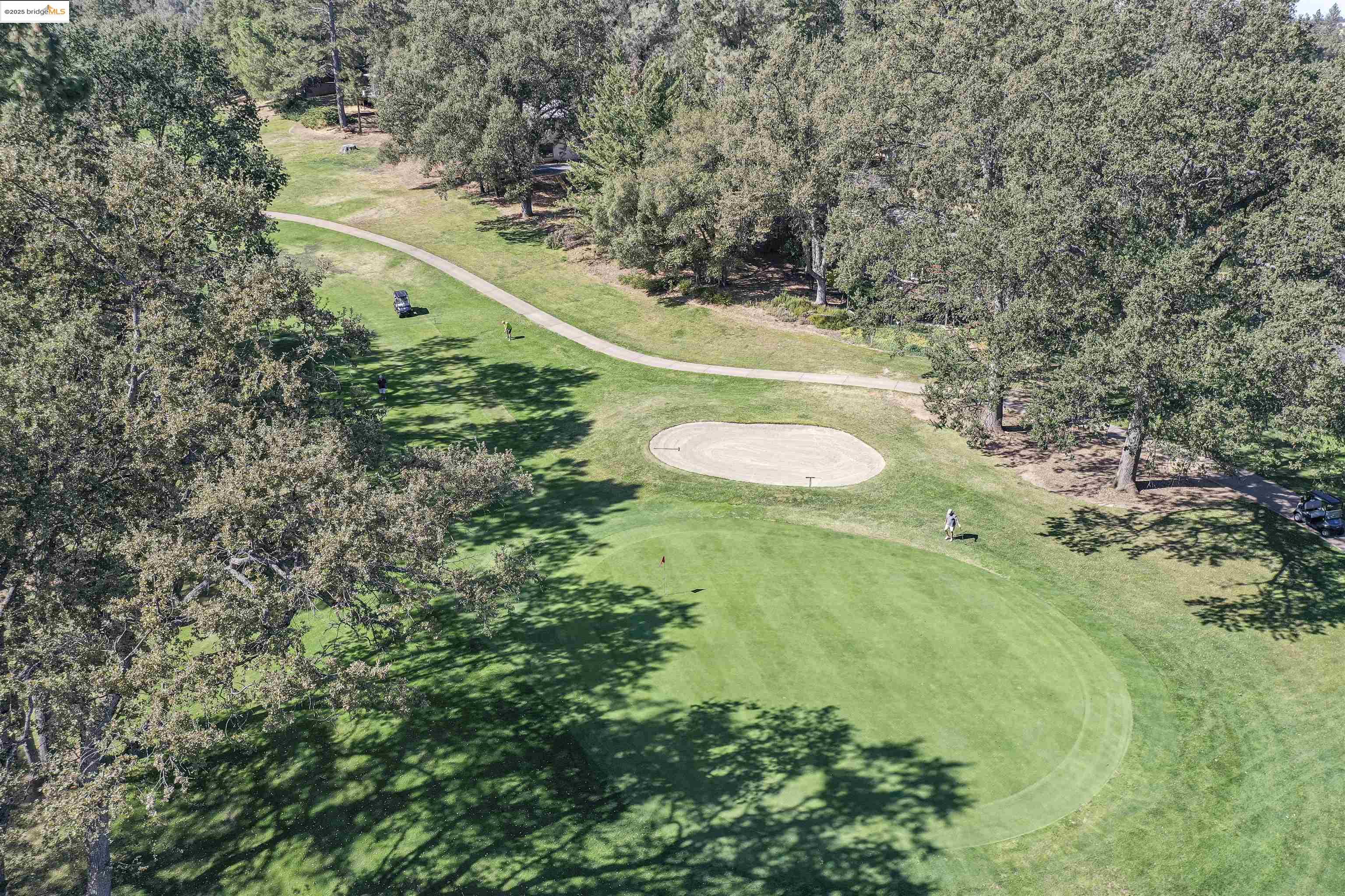 19955 Deerbrush Ct, Groveland, California 95321, 3 Bedrooms Bedrooms, 3 Rooms Rooms,2 BathroomsBathrooms,Residential,For Sale,19955 Deerbrush Ct,41106186