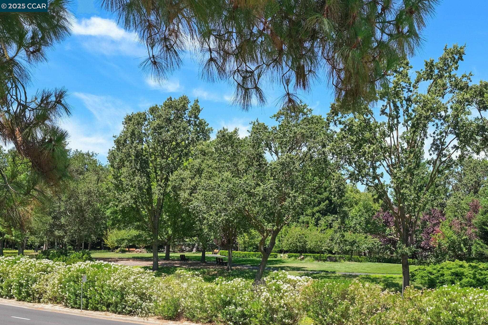 Photo #3: 41106189 Listing 