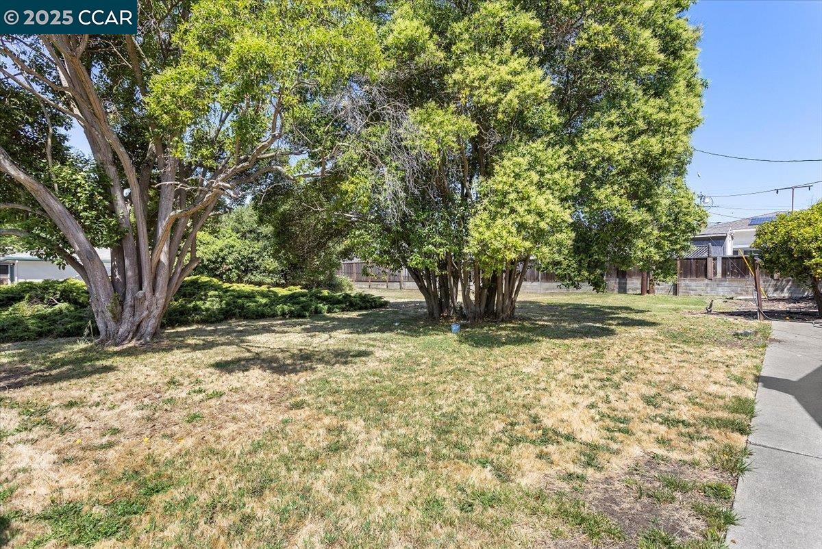 19358 Lake Chabot Rd, Castro Valley, California 94546, ,Land,For Sale,19358 Lake Chabot Rd,41106232