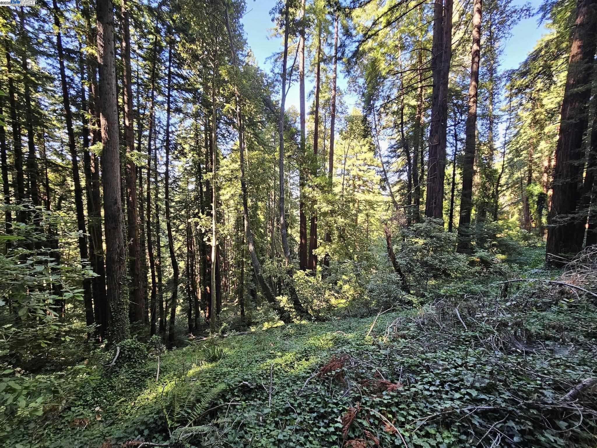 Lot26 Old La Honda Rd, Woodside, California 94062, ,Land,For Sale,Lot26 Old La Honda Rd,41106235
