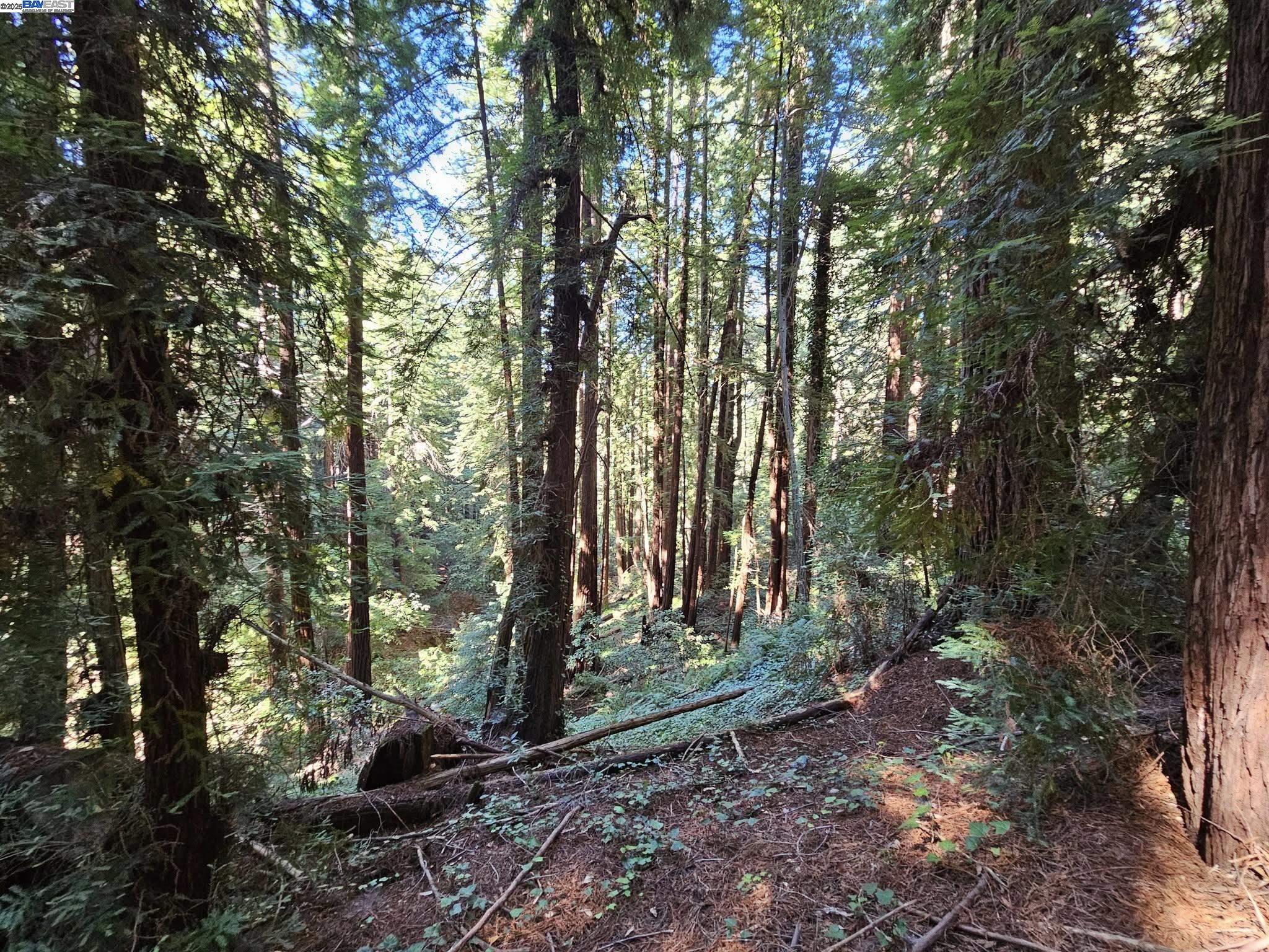 Lot26 Old La Honda Rd, Woodside, California 94062, ,Land,For Sale,Lot26 Old La Honda Rd,41106235