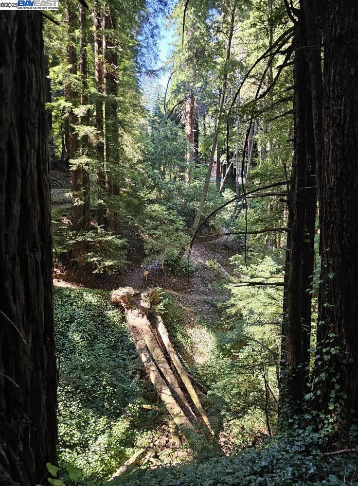 Lot26 Old La Honda Rd, Woodside, California 94062, ,Land,For Sale,Lot26 Old La Honda Rd,41106235