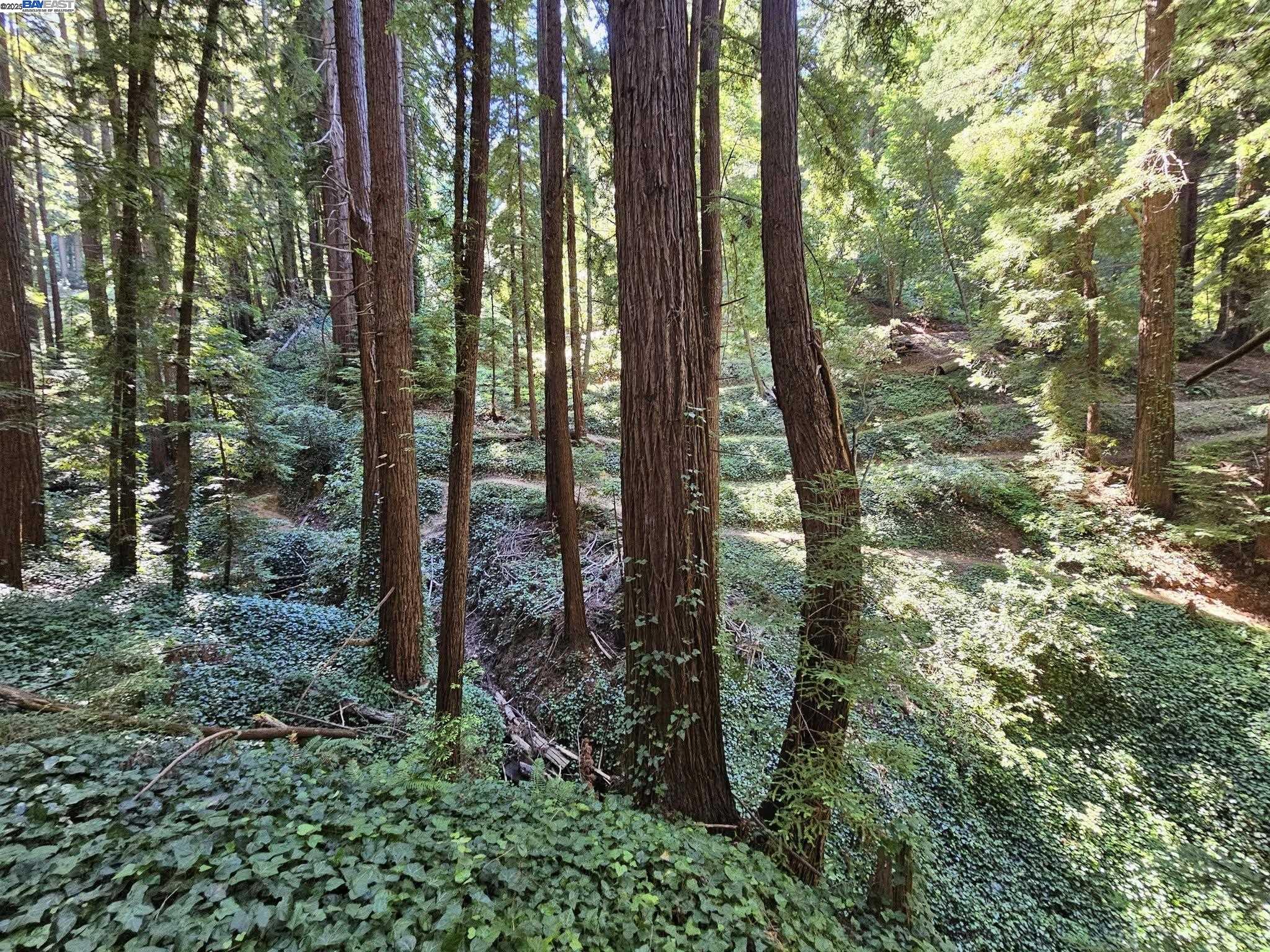 Lot26 Old La Honda Rd, Woodside, California 94062, ,Land,For Sale,Lot26 Old La Honda Rd,41106235