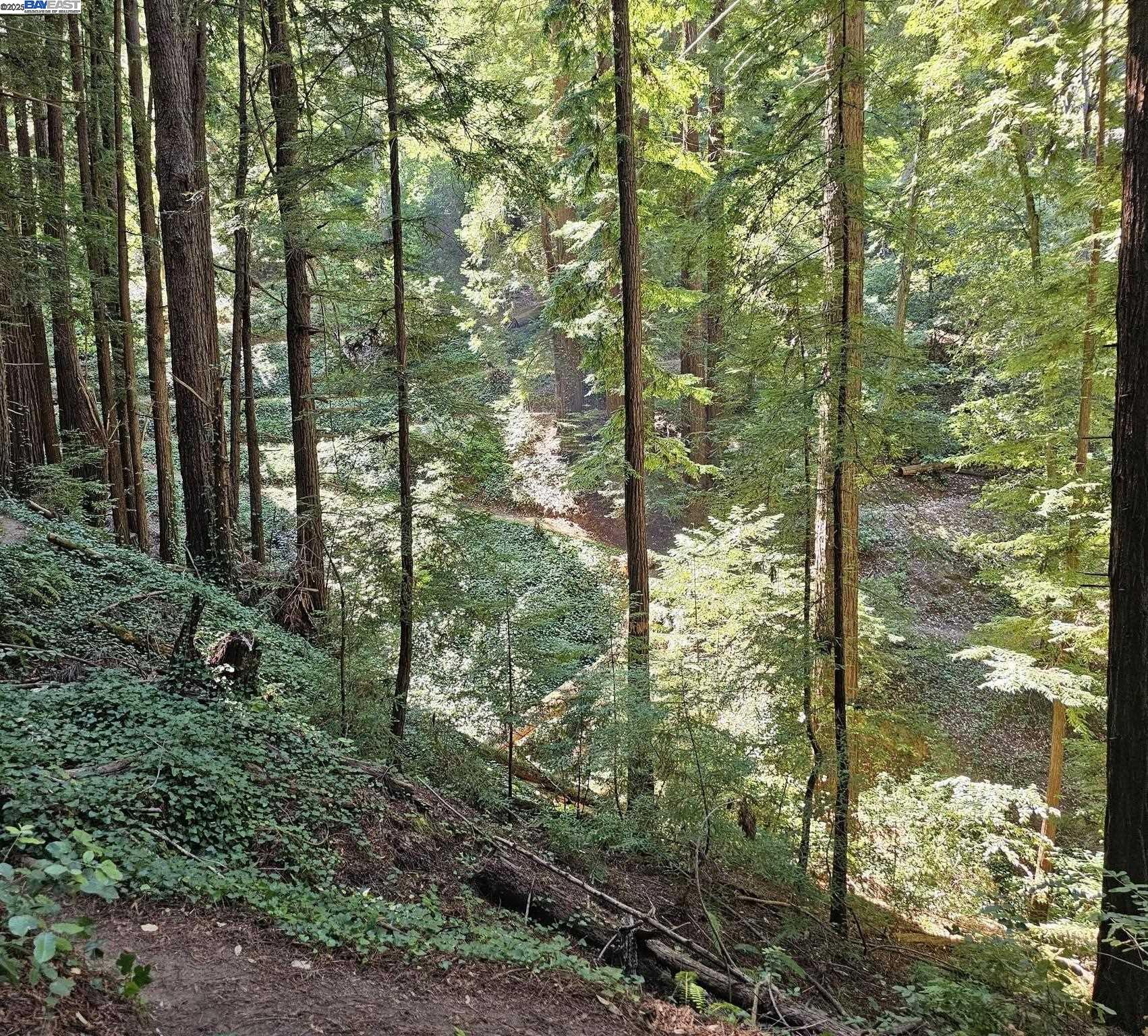 Lot26 Old La Honda Rd, Woodside, California 94062, ,Land,For Sale,Lot26 Old La Honda Rd,41106235