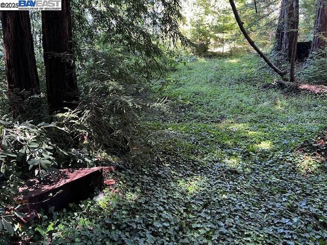LOT27 Old La Honda Rd, Woodside, California 94062, ,Land,For Sale,LOT27 Old La Honda Rd,41106236