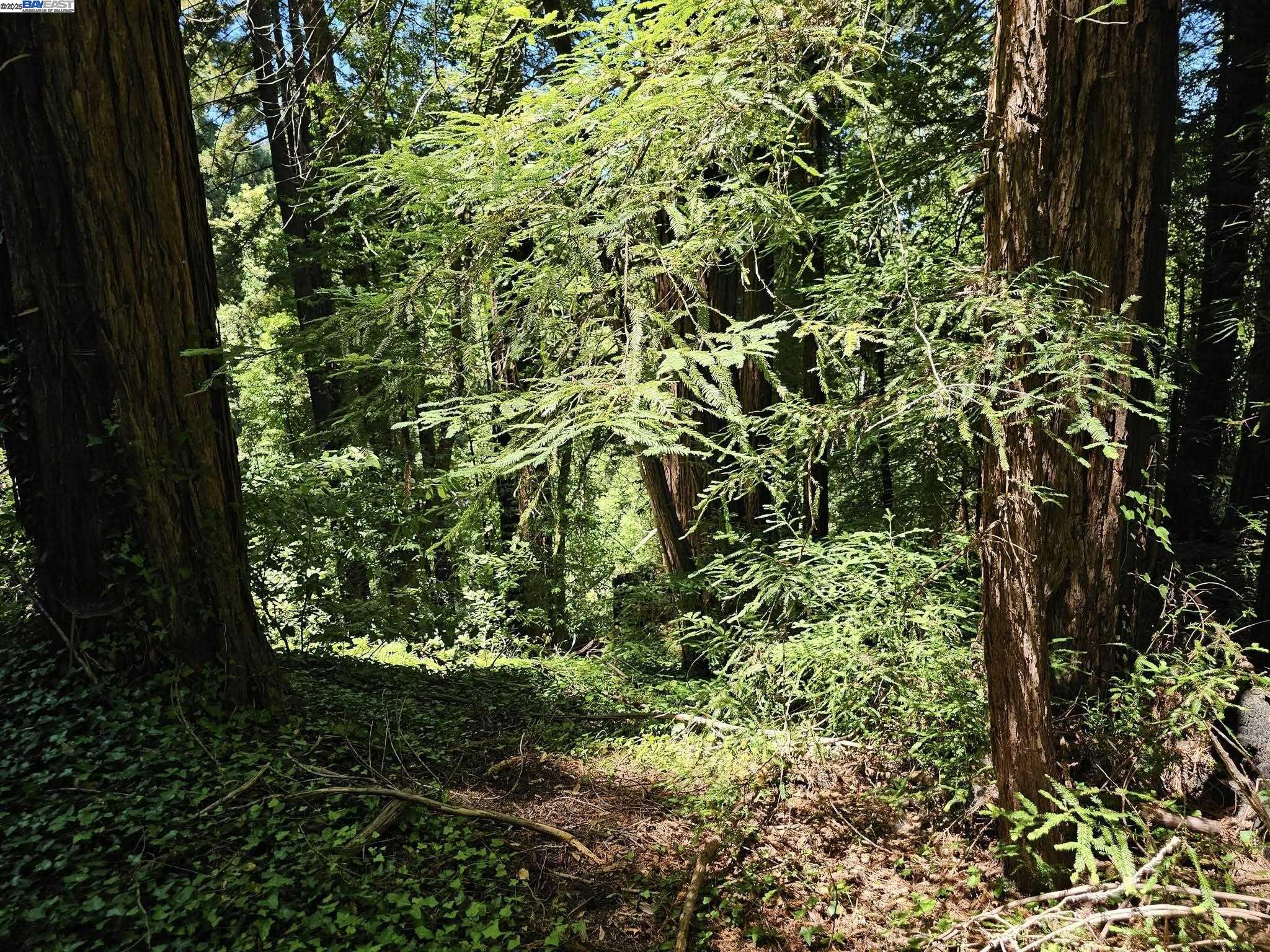 LOT27 Old La Honda Rd, Woodside, California 94062, ,Land,For Sale,LOT27 Old La Honda Rd,41106236