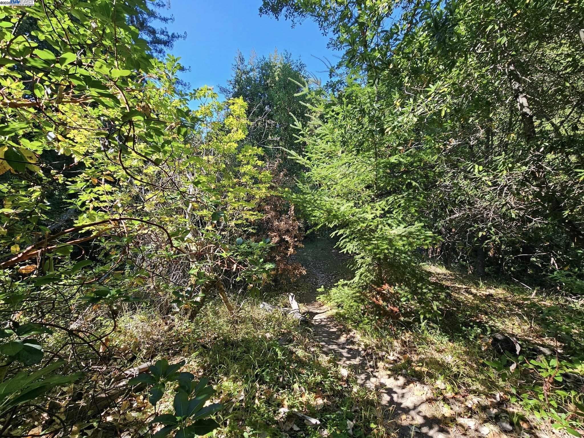 LOT27 Old La Honda Rd, Woodside, California 94062, ,Land,For Sale,LOT27 Old La Honda Rd,41106236
