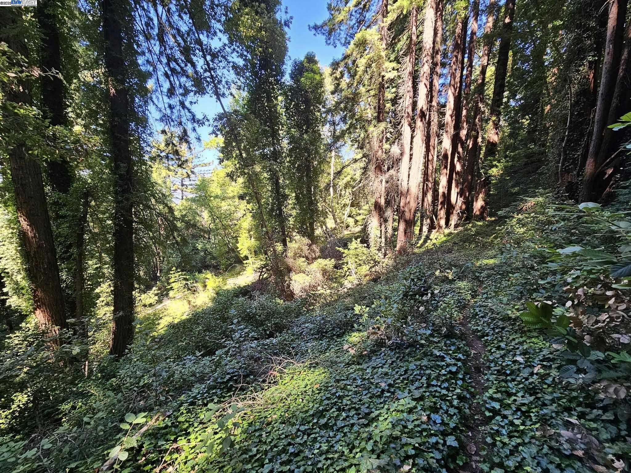 LOT27 Old La Honda Rd, Woodside, California 94062, ,Land,For Sale,LOT27 Old La Honda Rd,41106236