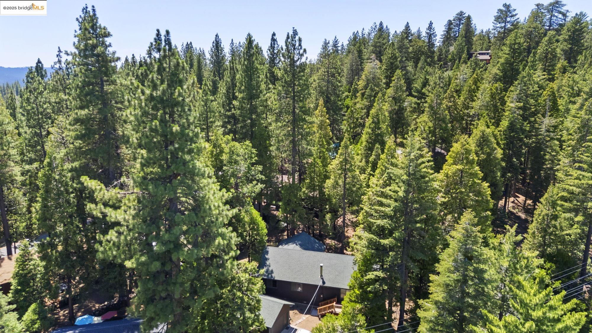 29404 Alpine Dr, Cold Springs, California 95335, 4 Bedrooms Bedrooms, 8 Rooms Rooms,2 BathroomsBathrooms,Residential,For Sale,29404 Alpine Dr,41106238