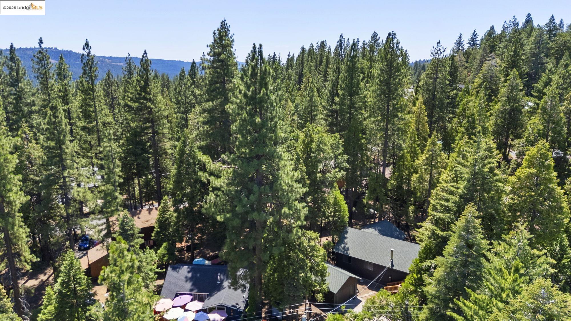 29404 Alpine Dr, Cold Springs, California 95335, 4 Bedrooms Bedrooms, 8 Rooms Rooms,2 BathroomsBathrooms,Residential,For Sale,29404 Alpine Dr,41106238