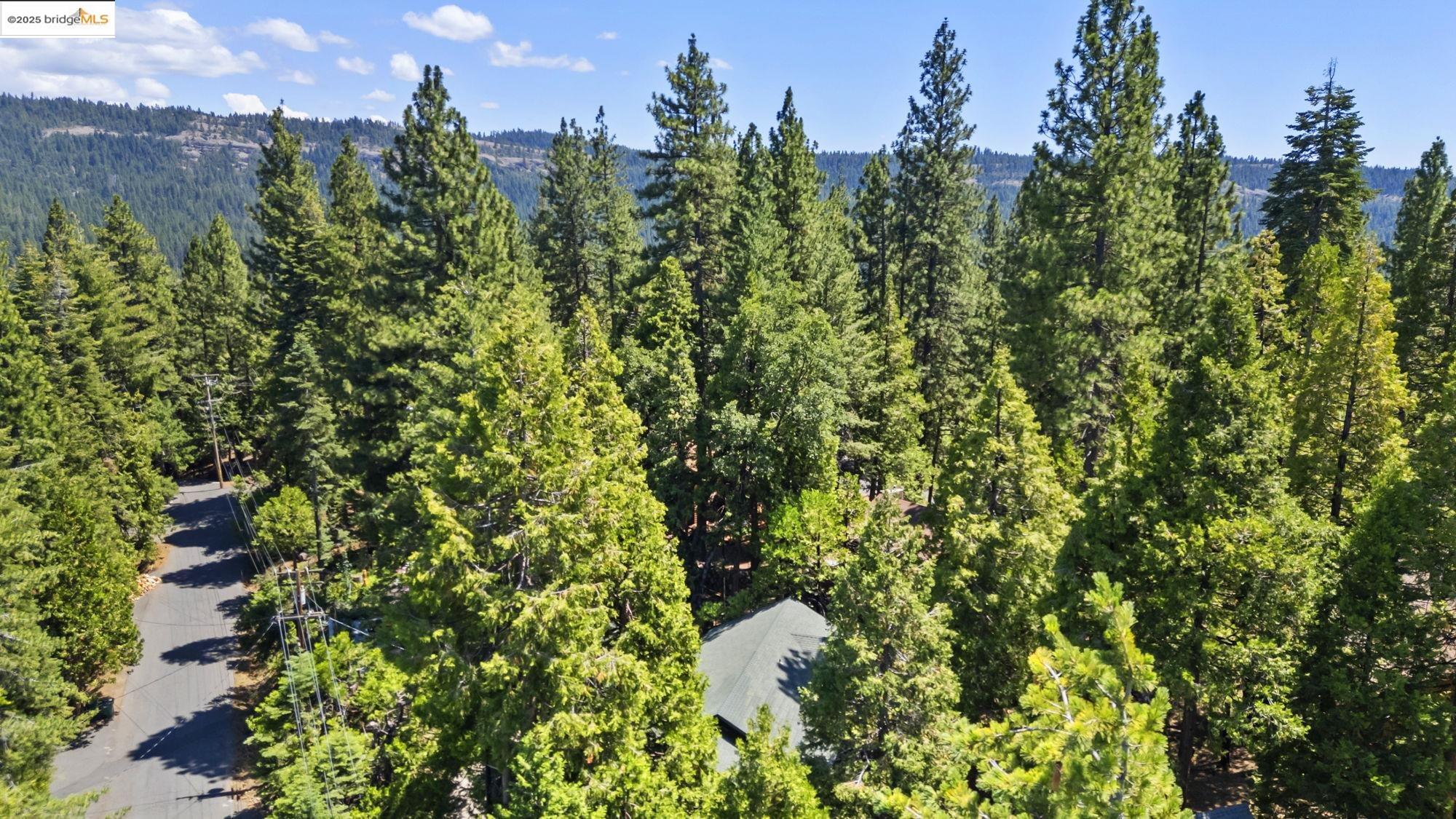 29404 Alpine Dr, Cold Springs, California 95335, 4 Bedrooms Bedrooms, 8 Rooms Rooms,2 BathroomsBathrooms,Residential,For Sale,29404 Alpine Dr,41106238
