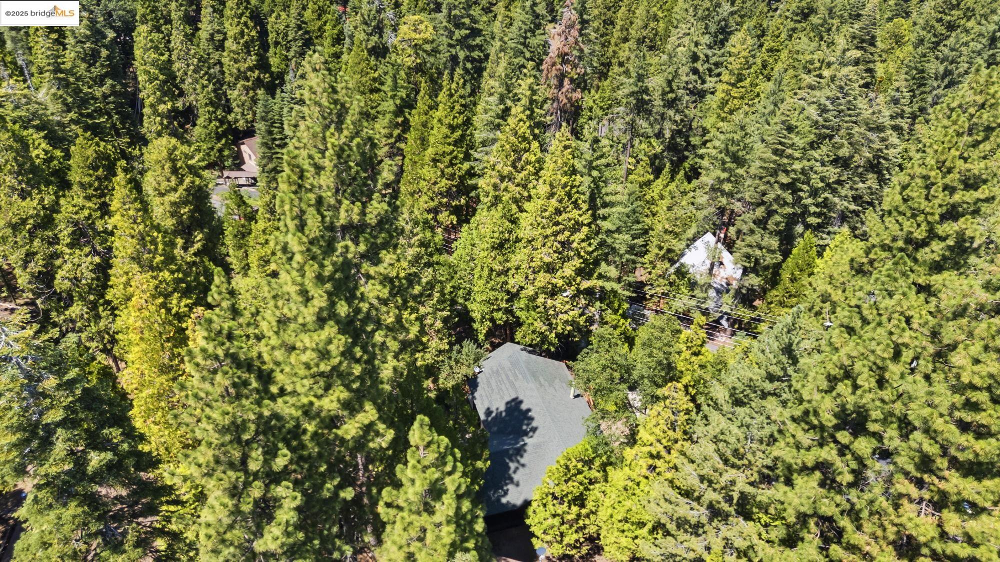 29404 Alpine Dr, Cold Springs, California 95335, 4 Bedrooms Bedrooms, 8 Rooms Rooms,2 BathroomsBathrooms,Residential,For Sale,29404 Alpine Dr,41106238