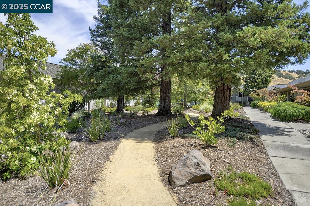 3136 Tice Creek Dr # 8, Walnut Creek, California 94595, 2 Bedrooms Bedrooms, 6 Rooms Rooms,2 BathroomsBathrooms,Residential,For Sale,3136 Tice Creek Dr # 8,41106241