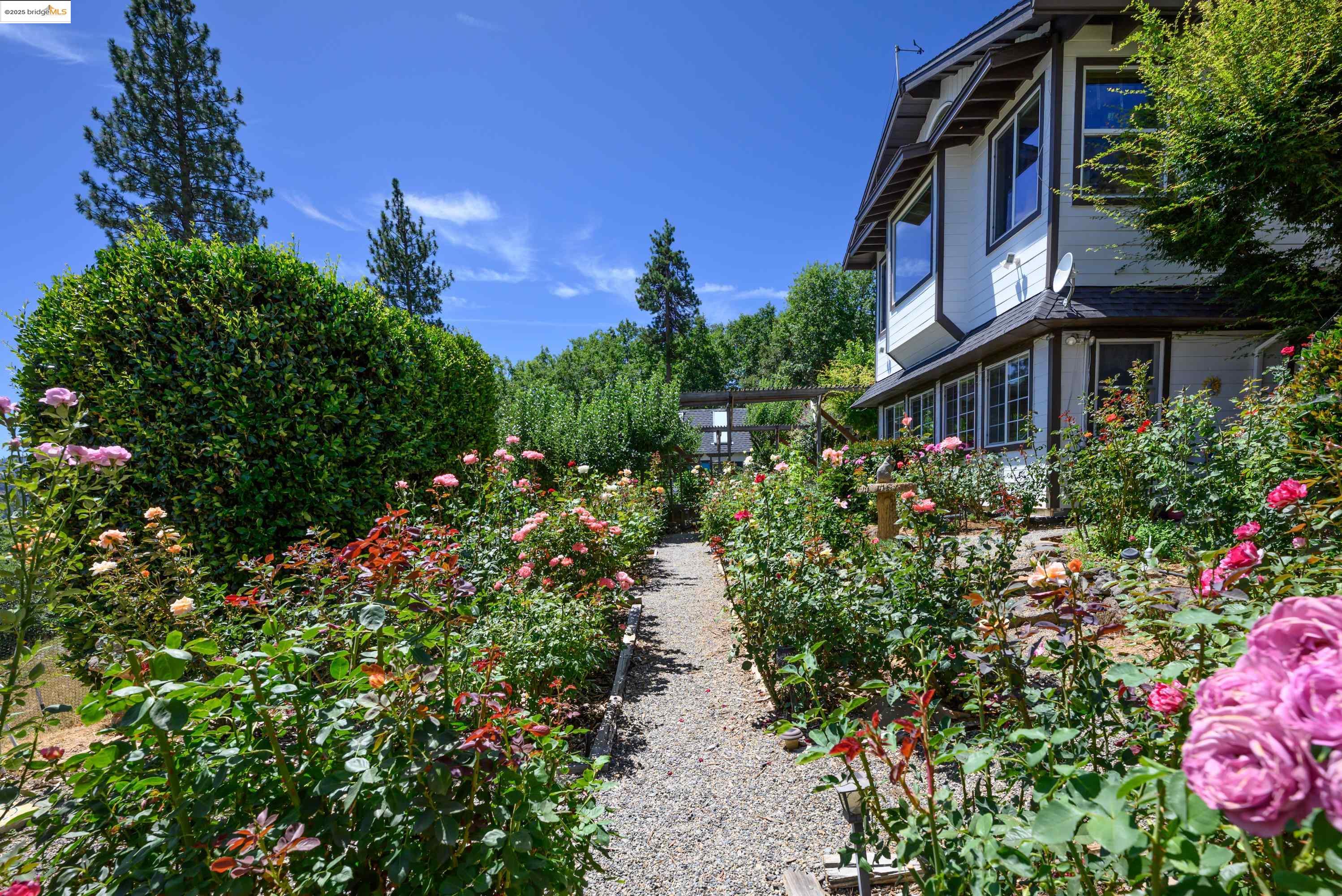 22961 Coffill Rd, Twain Harte, California 95383, 3 Bedrooms Bedrooms, 14 Rooms Rooms,5 BathroomsBathrooms,Residential,For Sale,22961 Coffill Rd,41106249