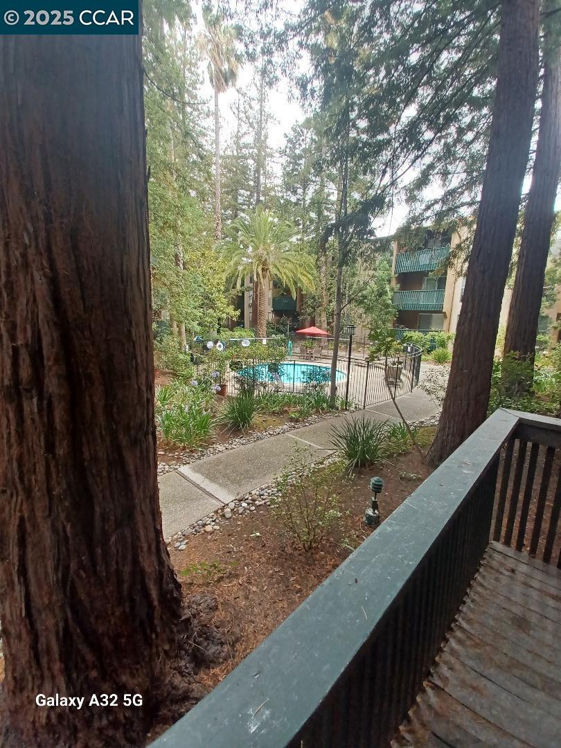 Photo #16: 41106251 Listing: Photo #16