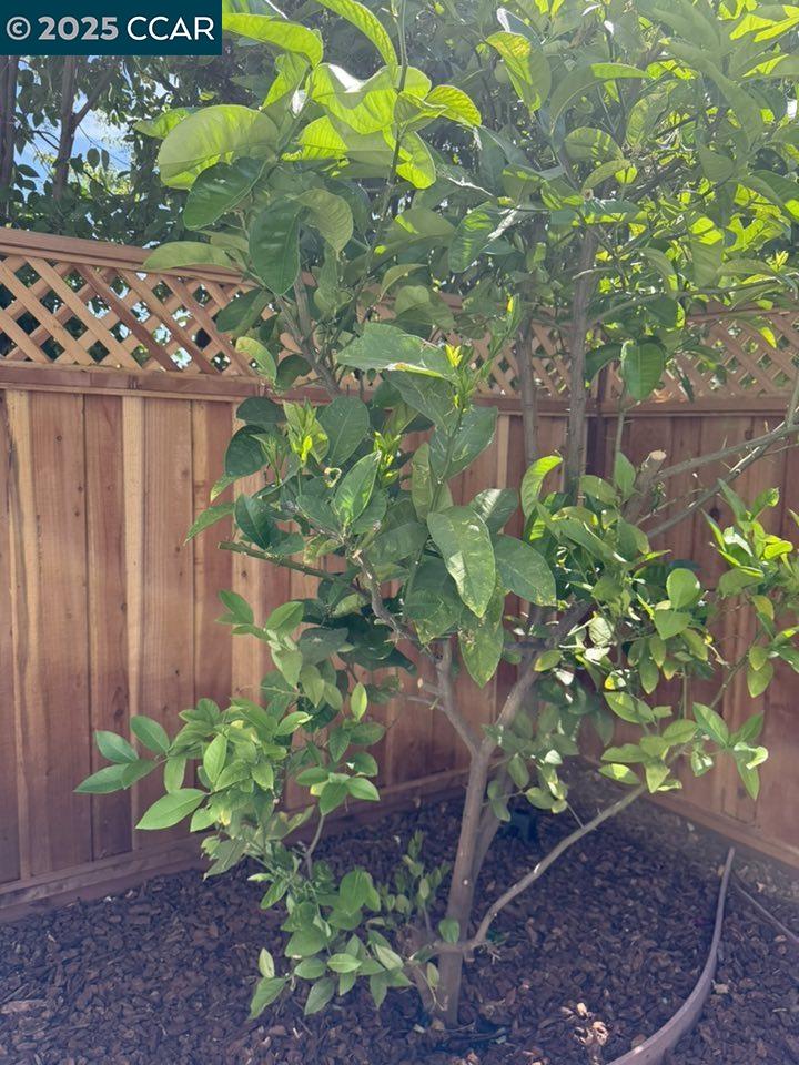 797 Orinda Ct, Fairfield, California 94534, 3 Bedrooms Bedrooms, 6 Rooms Rooms,2 BathroomsBathrooms,Residential,For Sale,797 Orinda Ct,41106260
