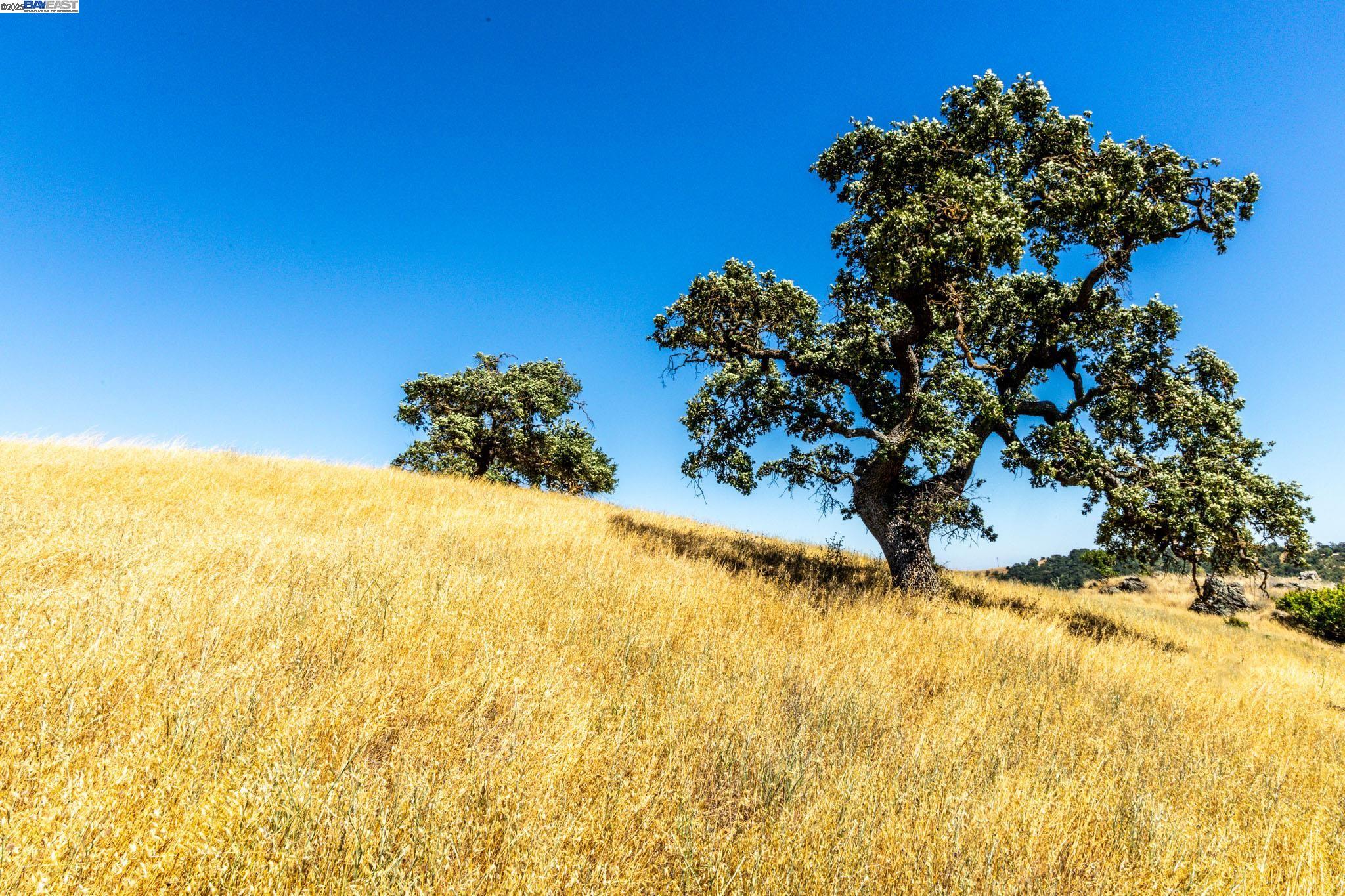 0 Oak Glen Ave, Morgan Hill, California 95037, ,Land,For Sale,0 Oak Glen Ave,41106261