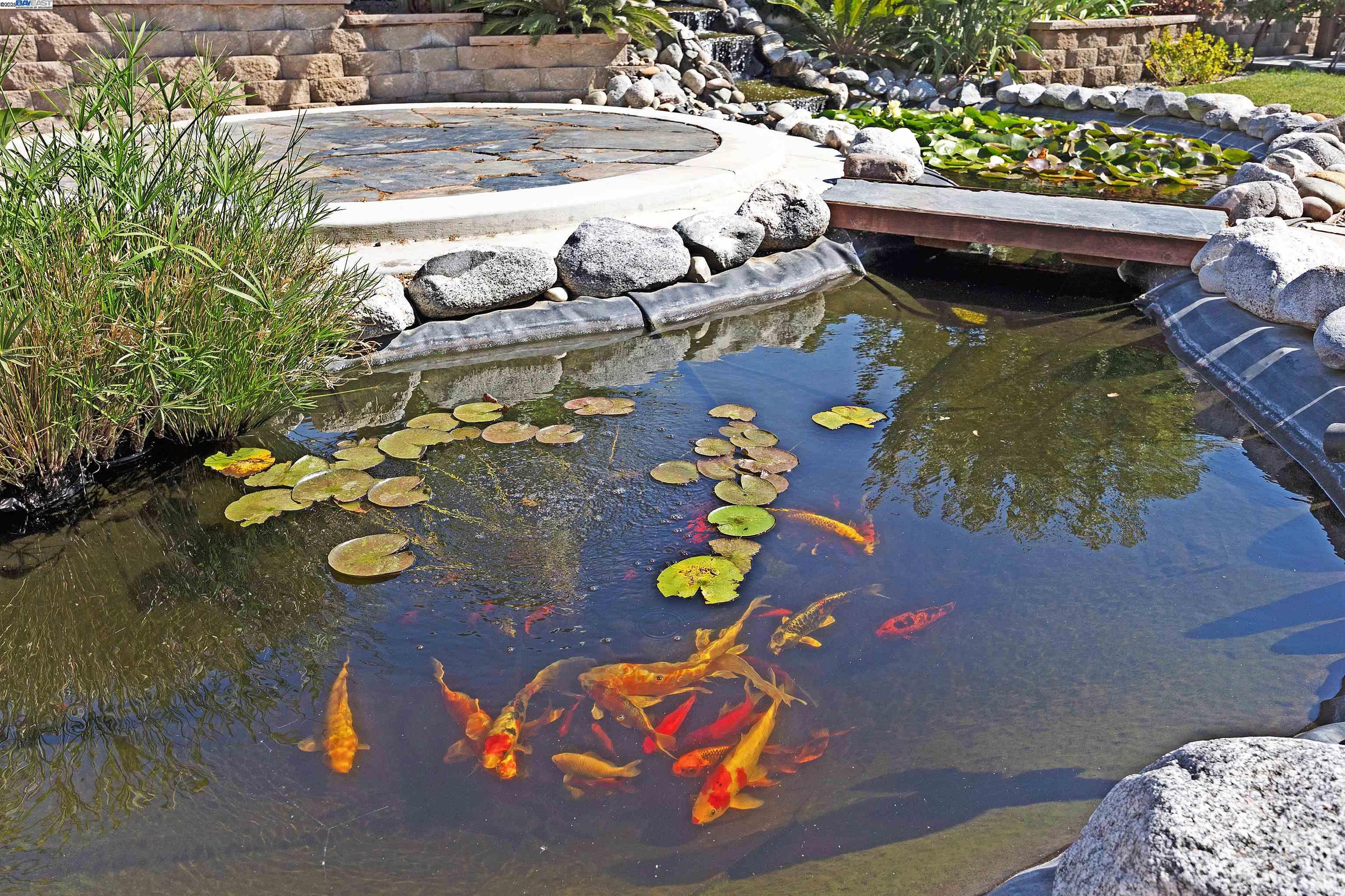 Detail Gallery Image 39 of 56 For 2288 Jessica Way, Tracy,  CA 95377 - 4 Beds | 3/1 Baths