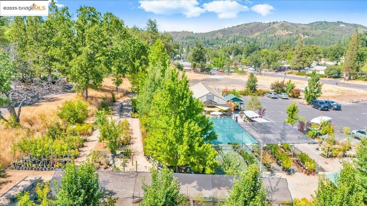Detail Gallery Image 12 of 49 For 88 Ca-4, Murphys,  CA 95247 - – Beds | – Baths