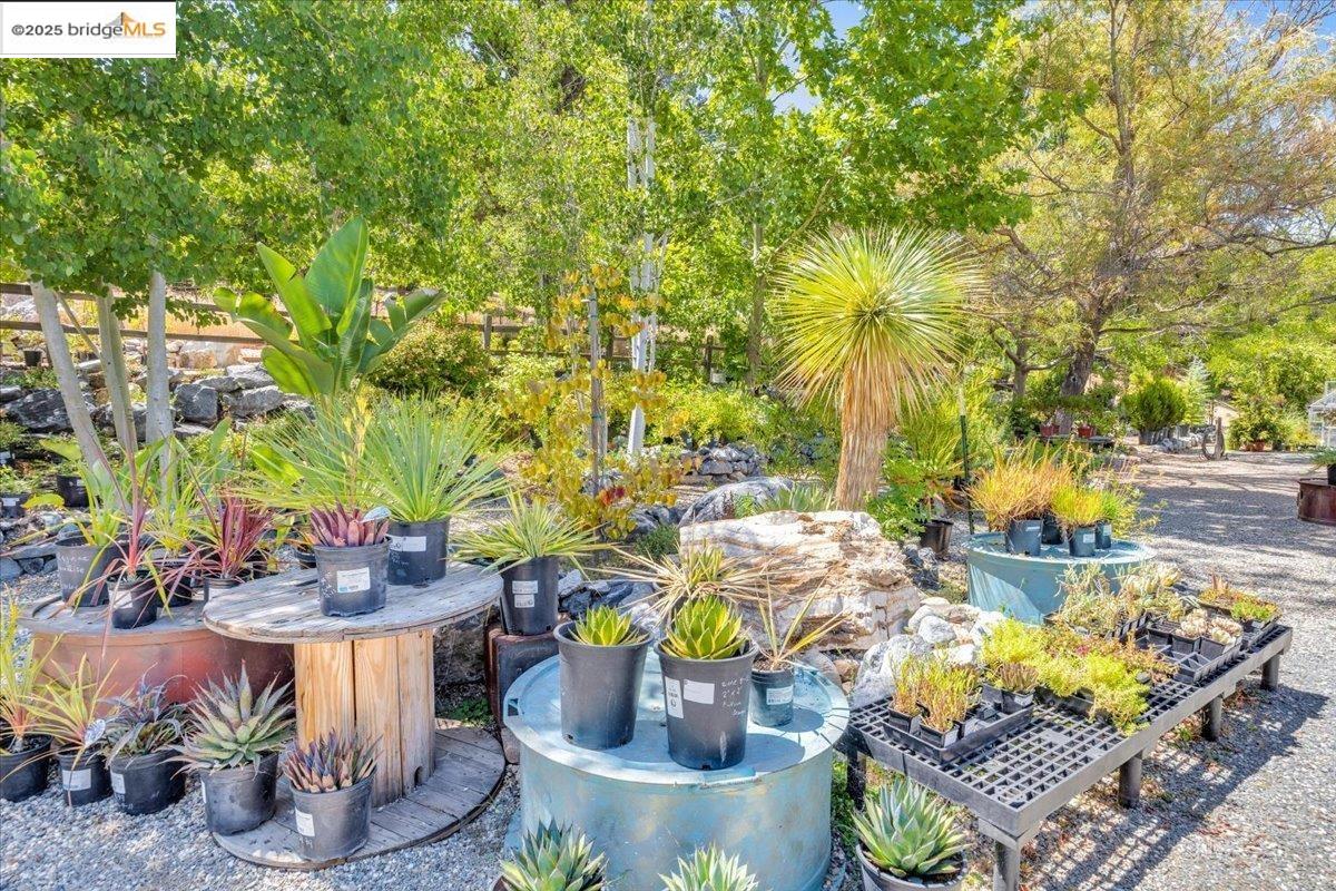 Detail Gallery Image 17 of 49 For 88 Ca-4, Murphys,  CA 95247 - – Beds | – Baths