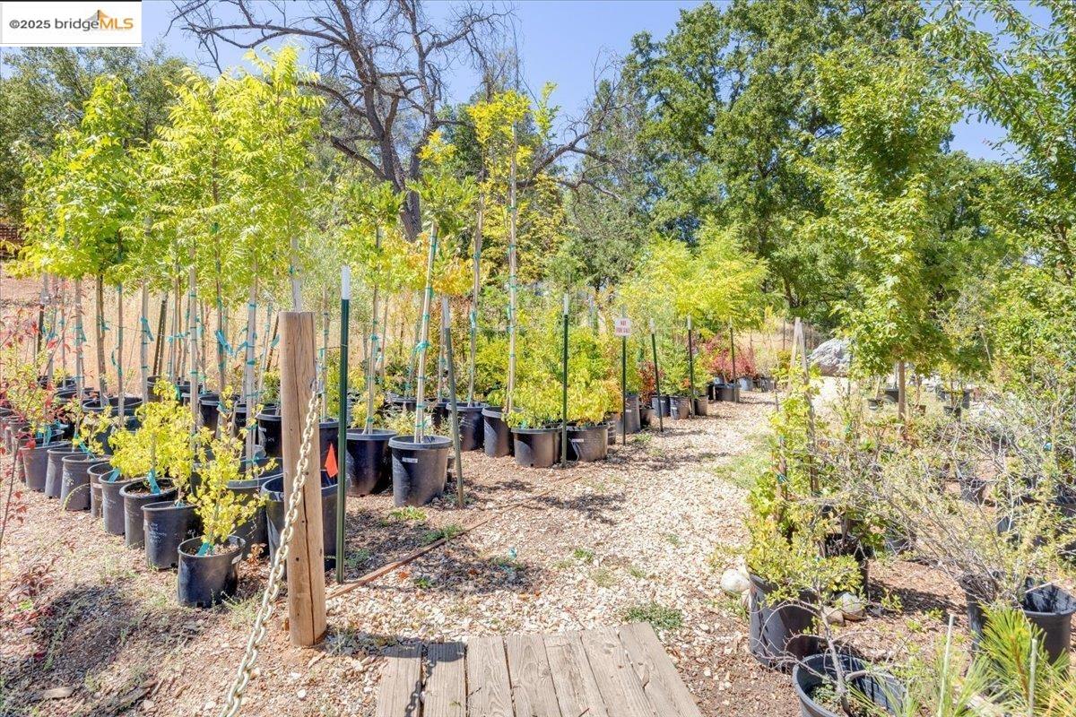 Detail Gallery Image 22 of 49 For 88 Ca-4, Murphys,  CA 95247 - – Beds | – Baths