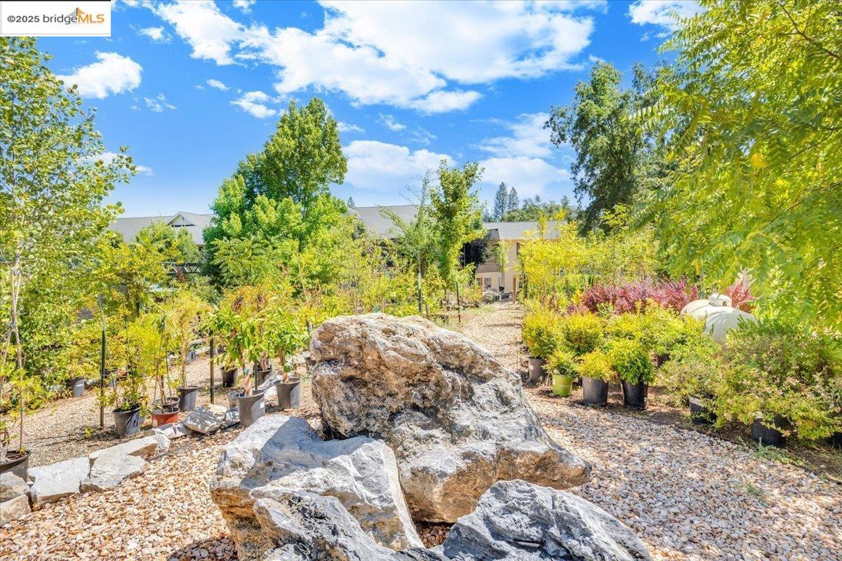 Detail Gallery Image 26 of 49 For 88 Ca-4, Murphys,  CA 95247 - – Beds | – Baths