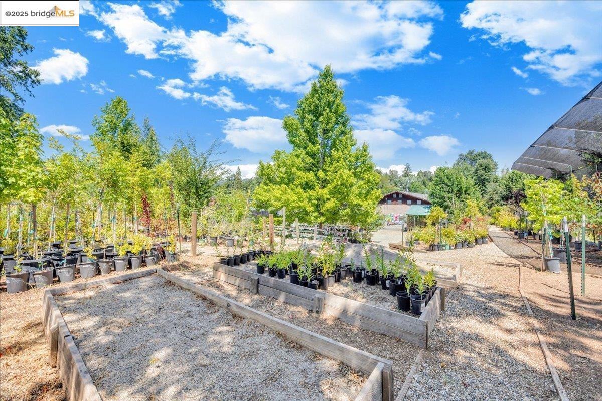 Detail Gallery Image 29 of 49 For 88 Ca-4, Murphys,  CA 95247 - – Beds | – Baths