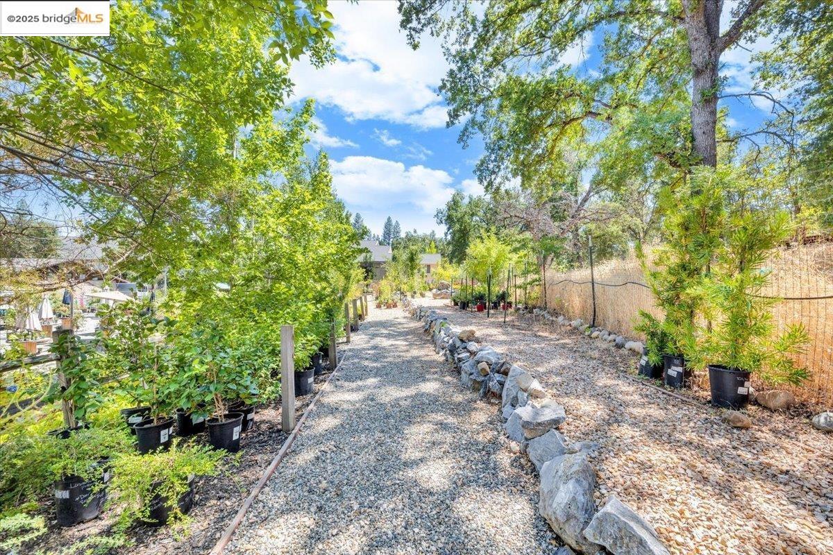 Detail Gallery Image 31 of 49 For 88 Ca-4, Murphys,  CA 95247 - – Beds | – Baths