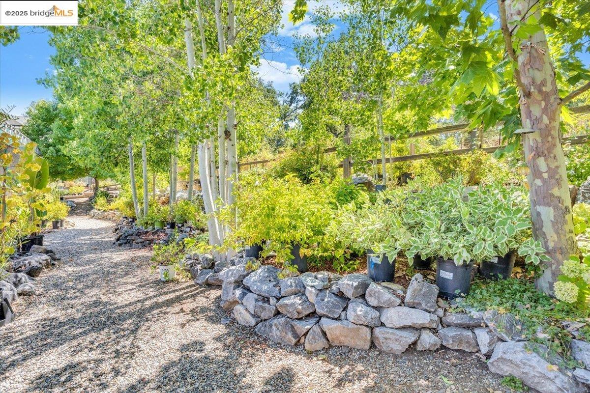 Detail Gallery Image 10 of 49 For 88 Ca-4, Murphys,  CA 95247 - – Beds | – Baths